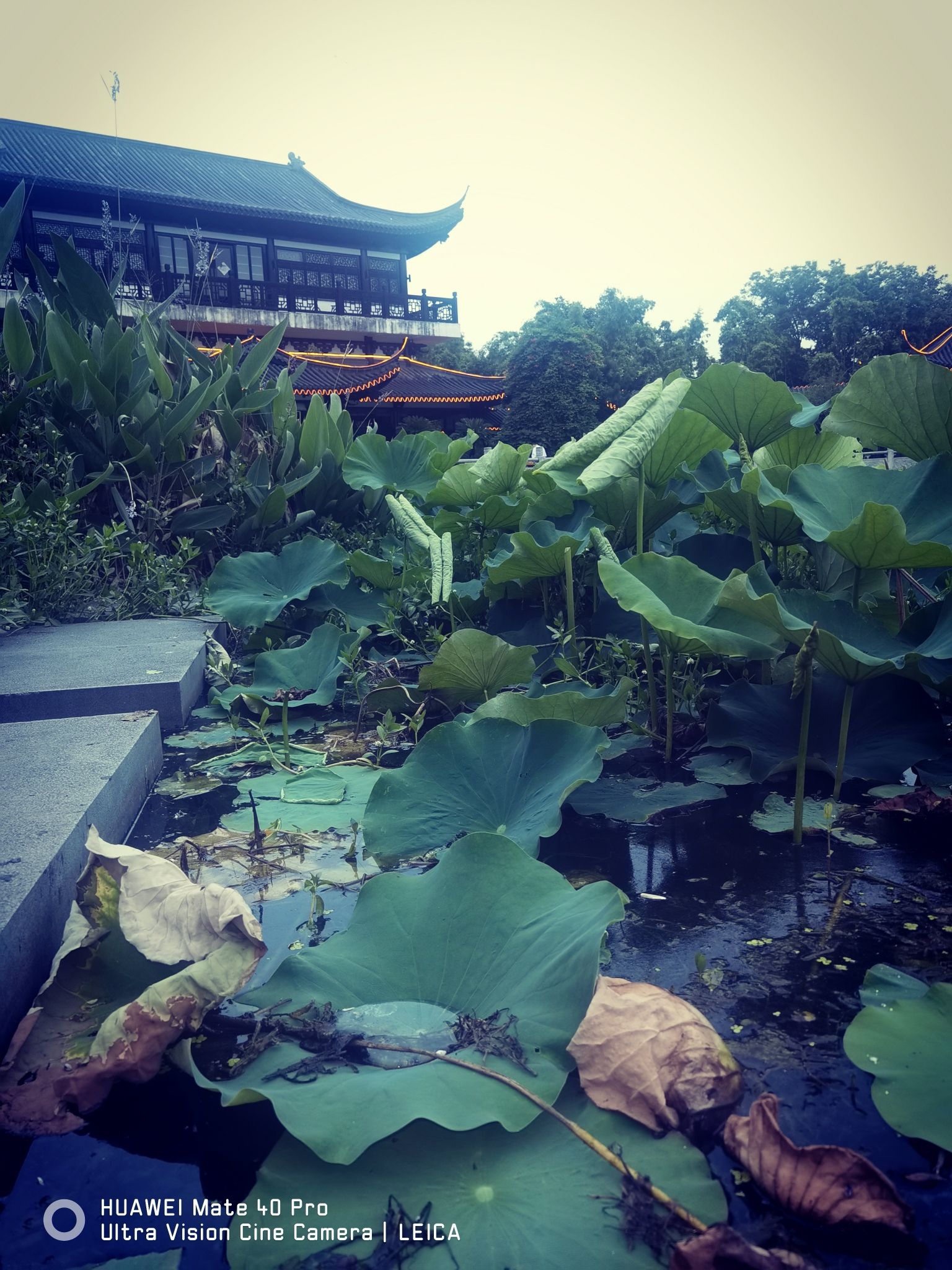 唐平湖风景区旅行图片 2