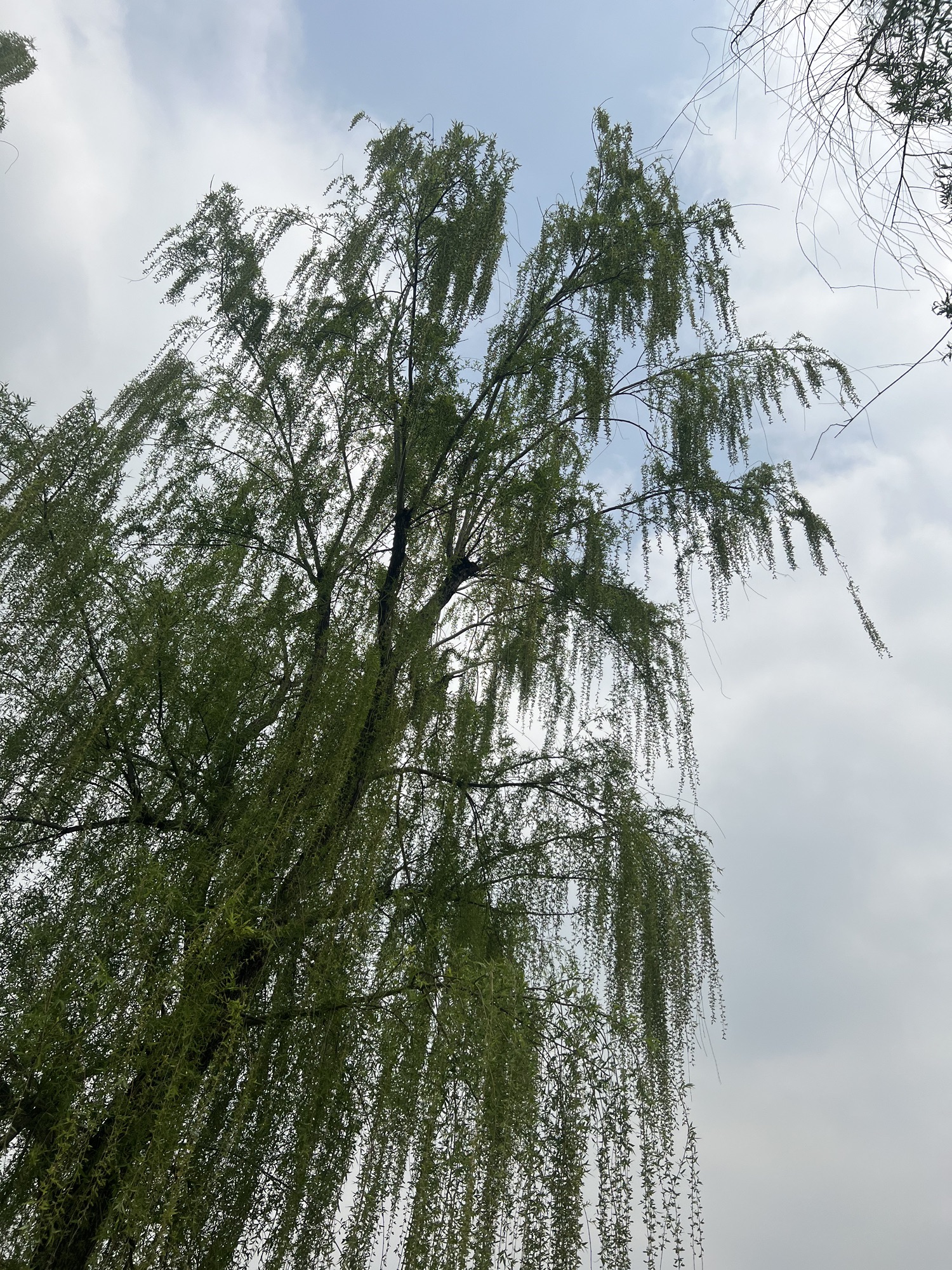 唐平湖风景区旅行图片 2