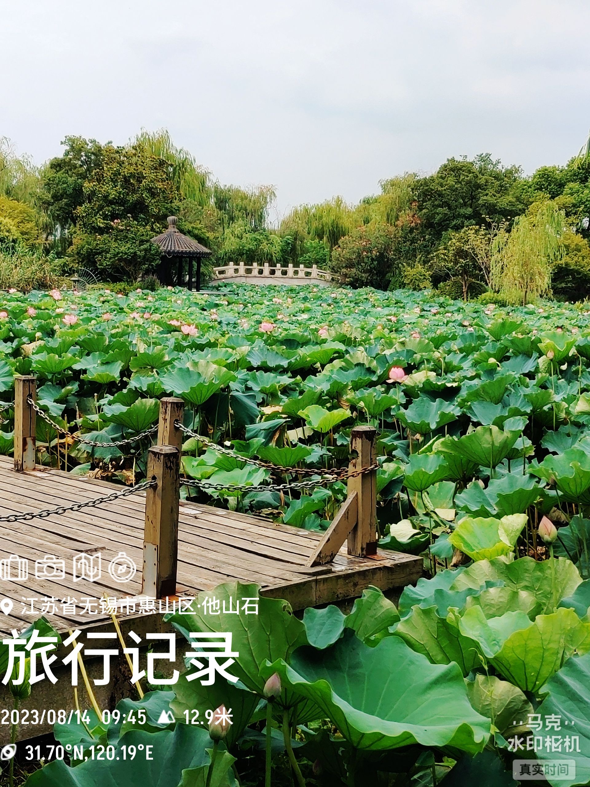 唐平湖风景区