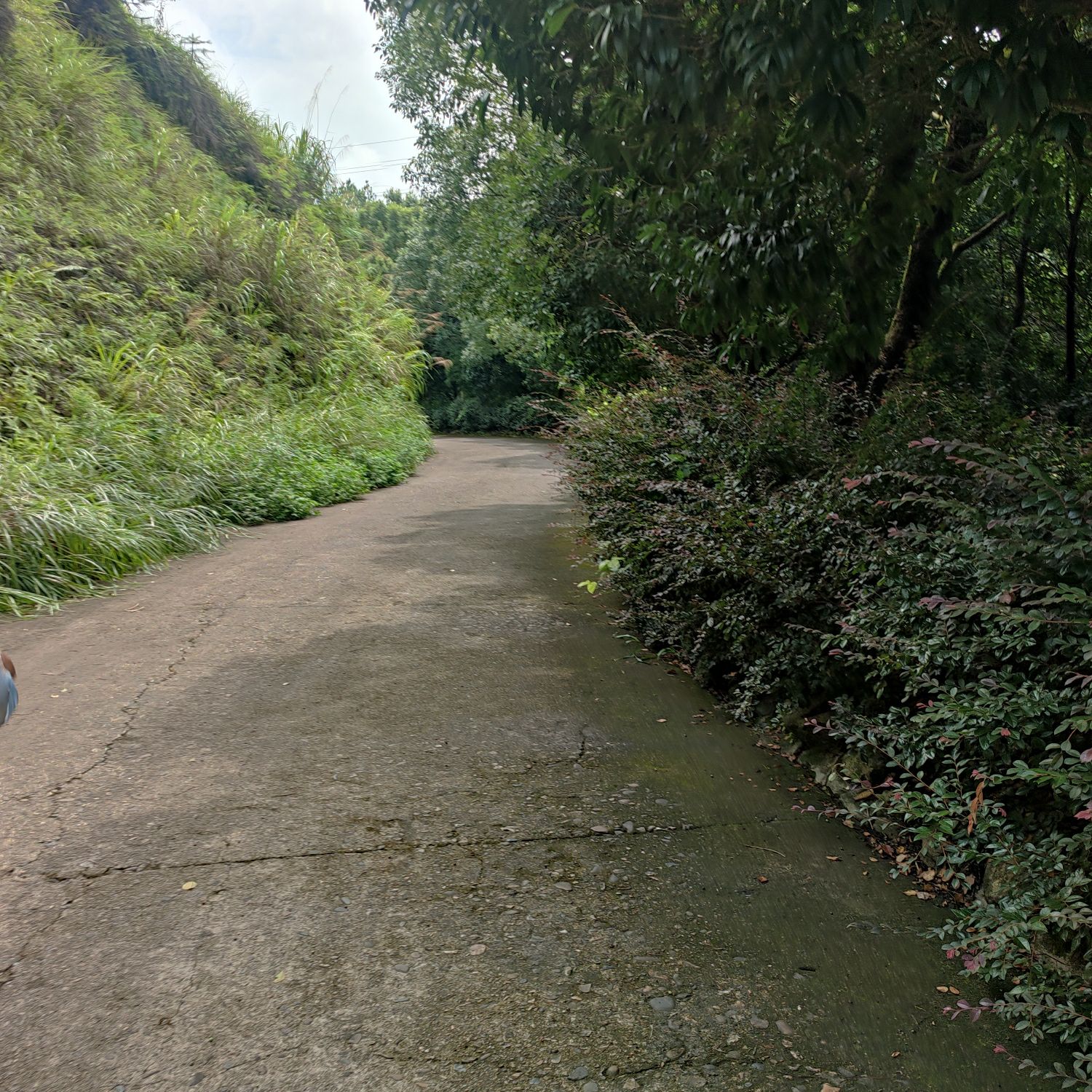 柏水寨旅行图片 2