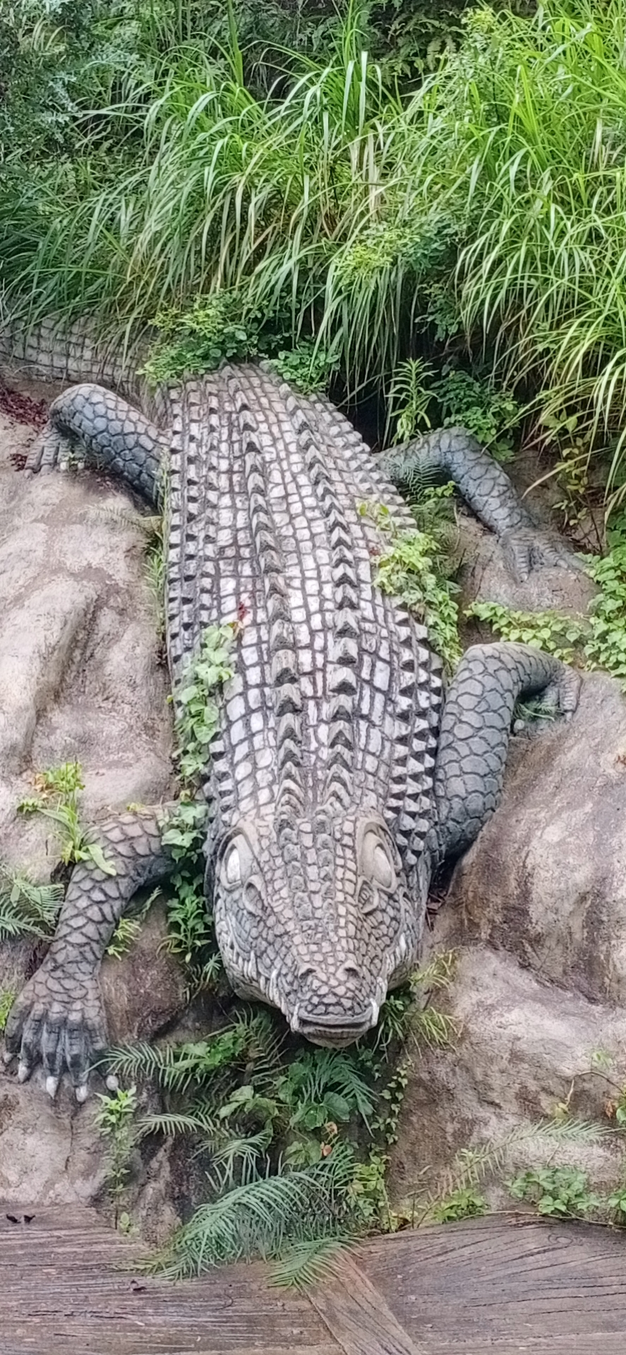 柏水寨旅行图片 1