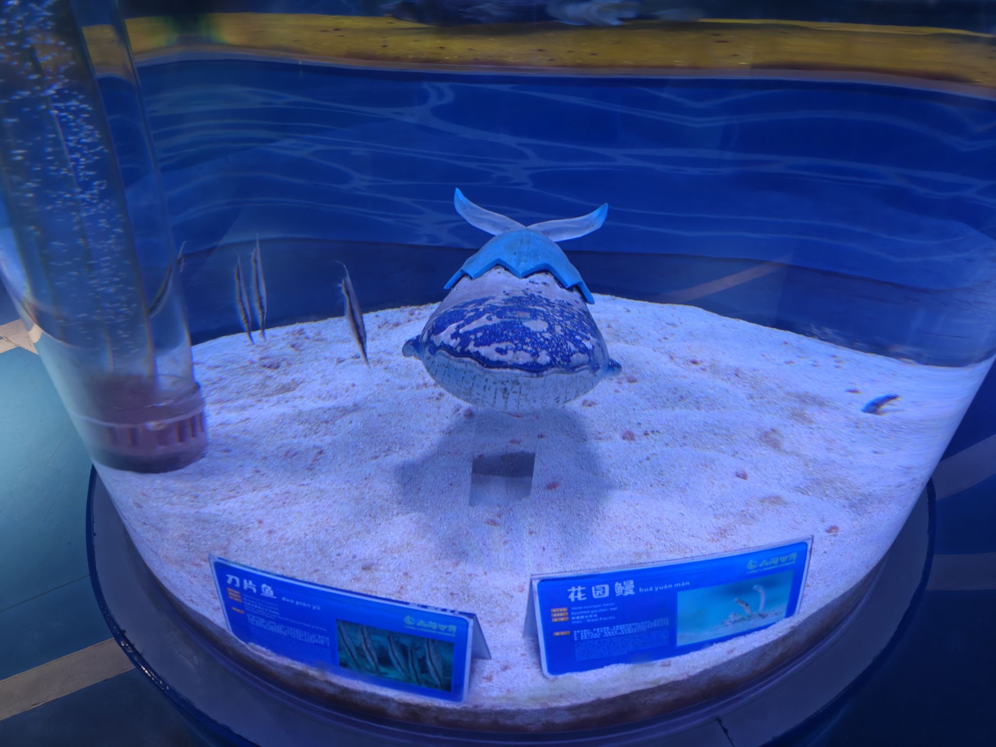 南京欢乐谷旅行图片 1