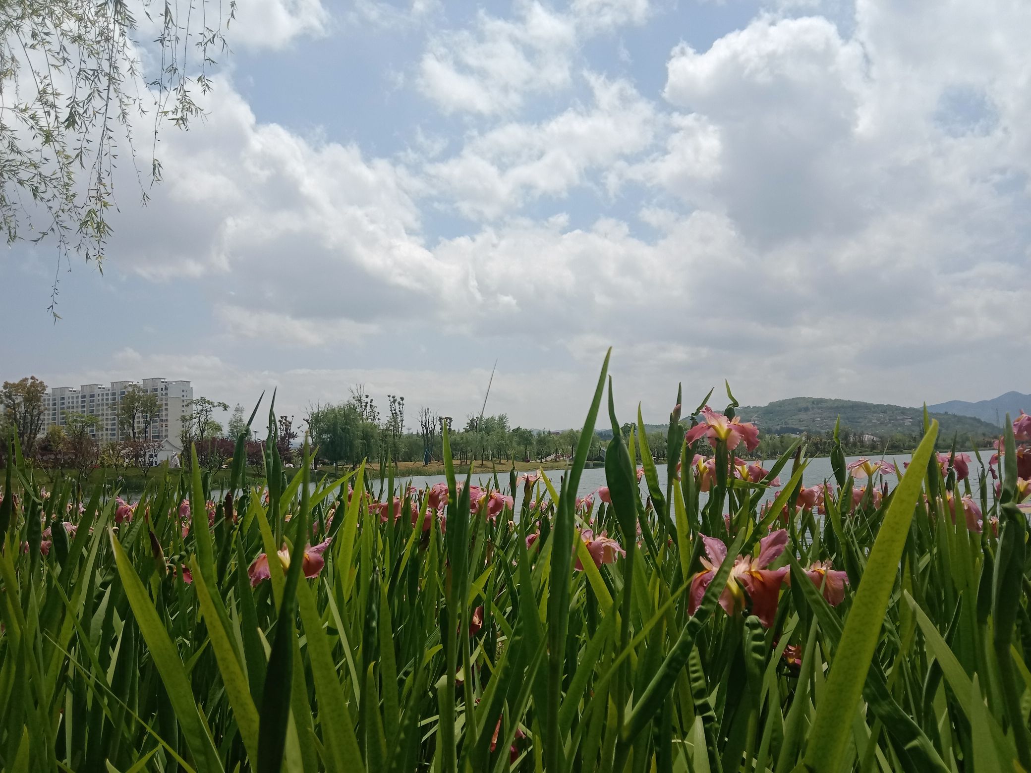 鲁甸朱提文化公园