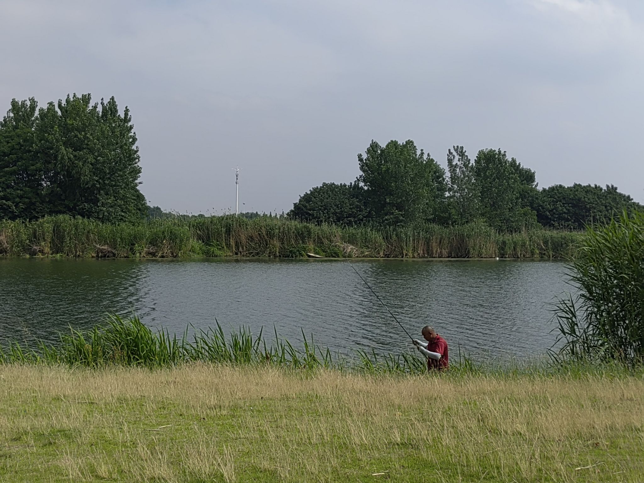 淮安市白马湖湿地公园旅行图片 2