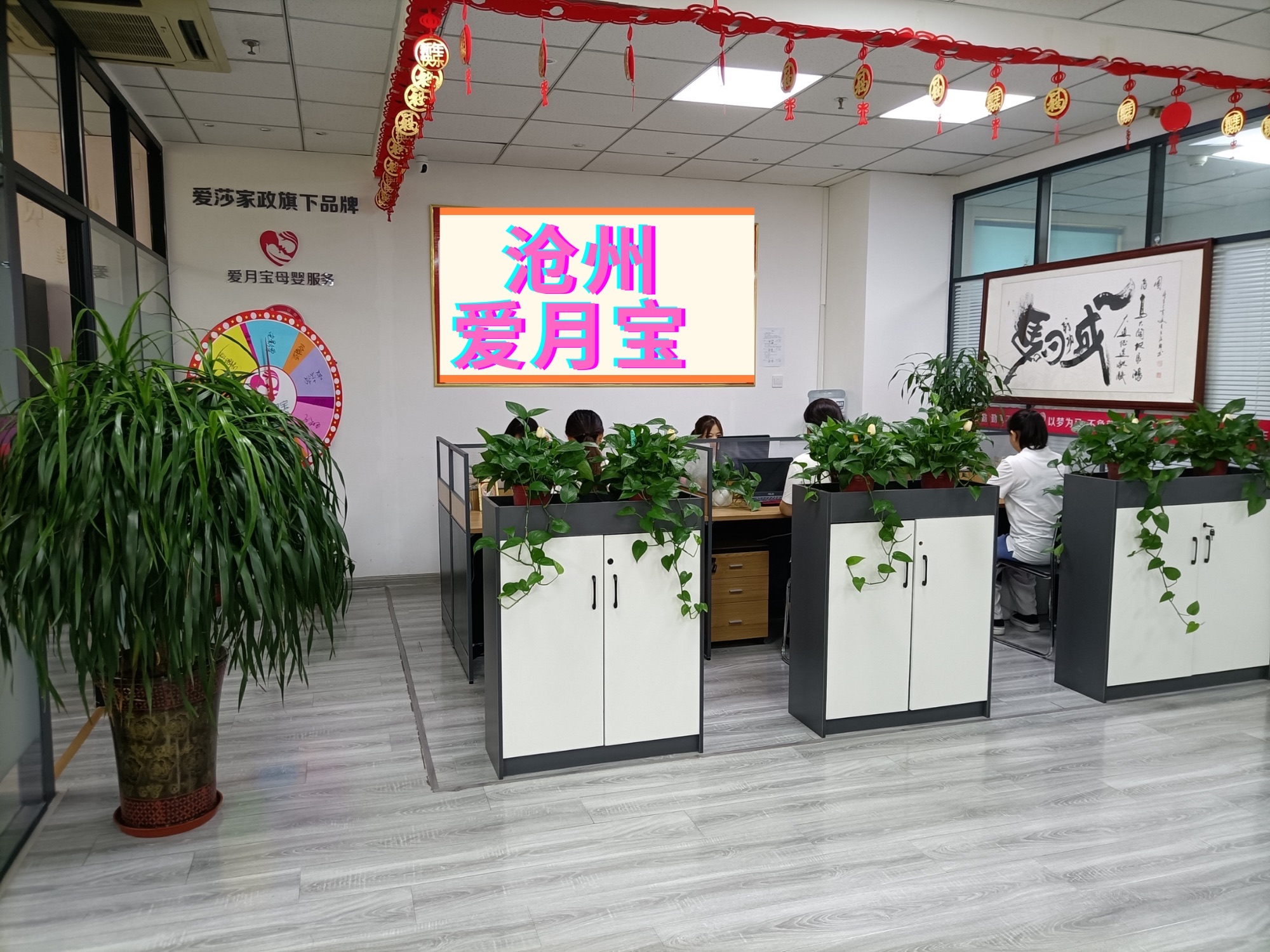 爱月宝月嫂(沧州店)