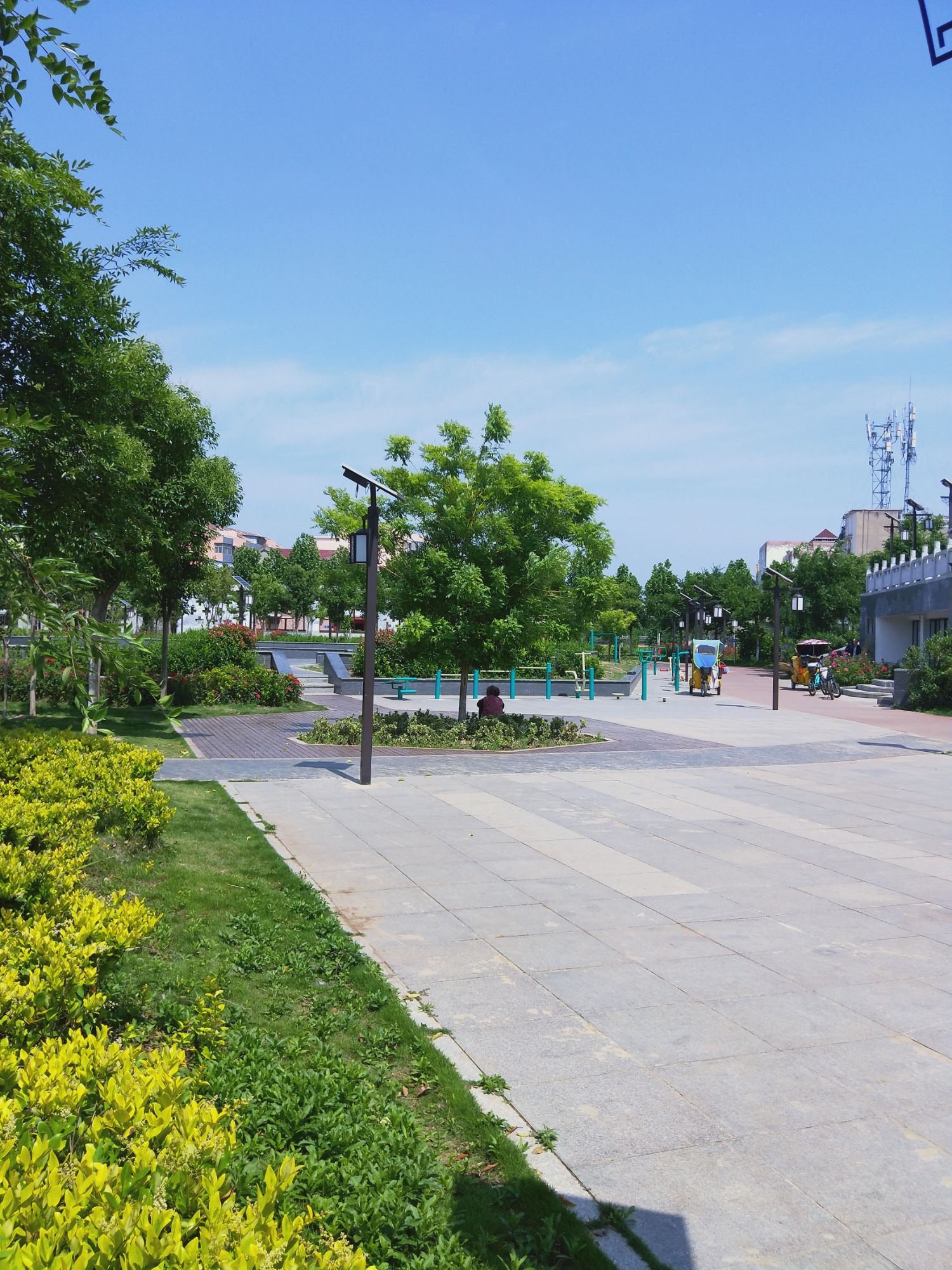 人民公园旅行图片 2