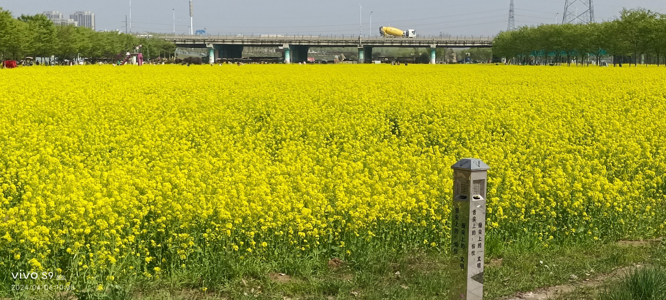 牛楼小镇旅行图片 2
