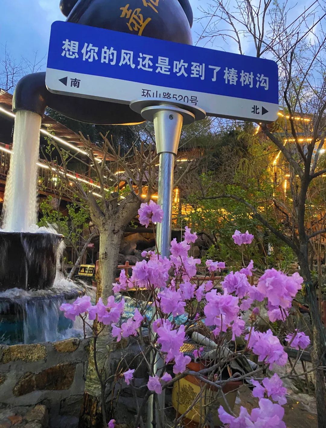 蒙阴椿树沟景区旅行图片 1