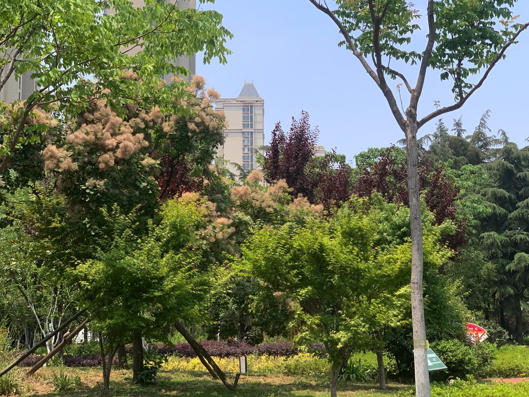 营子公园旅行图片 1