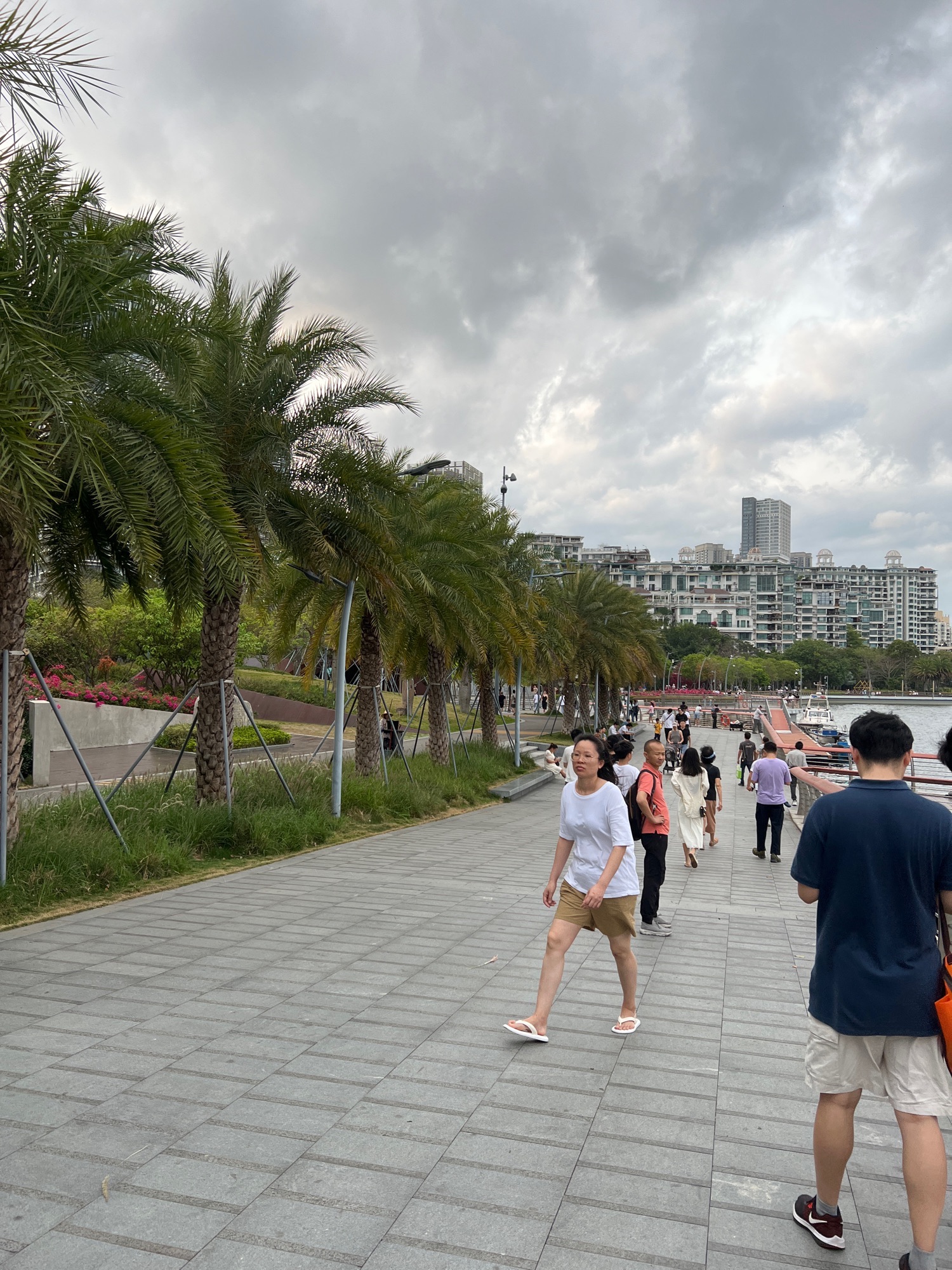 防波堤公园旅行图片 3