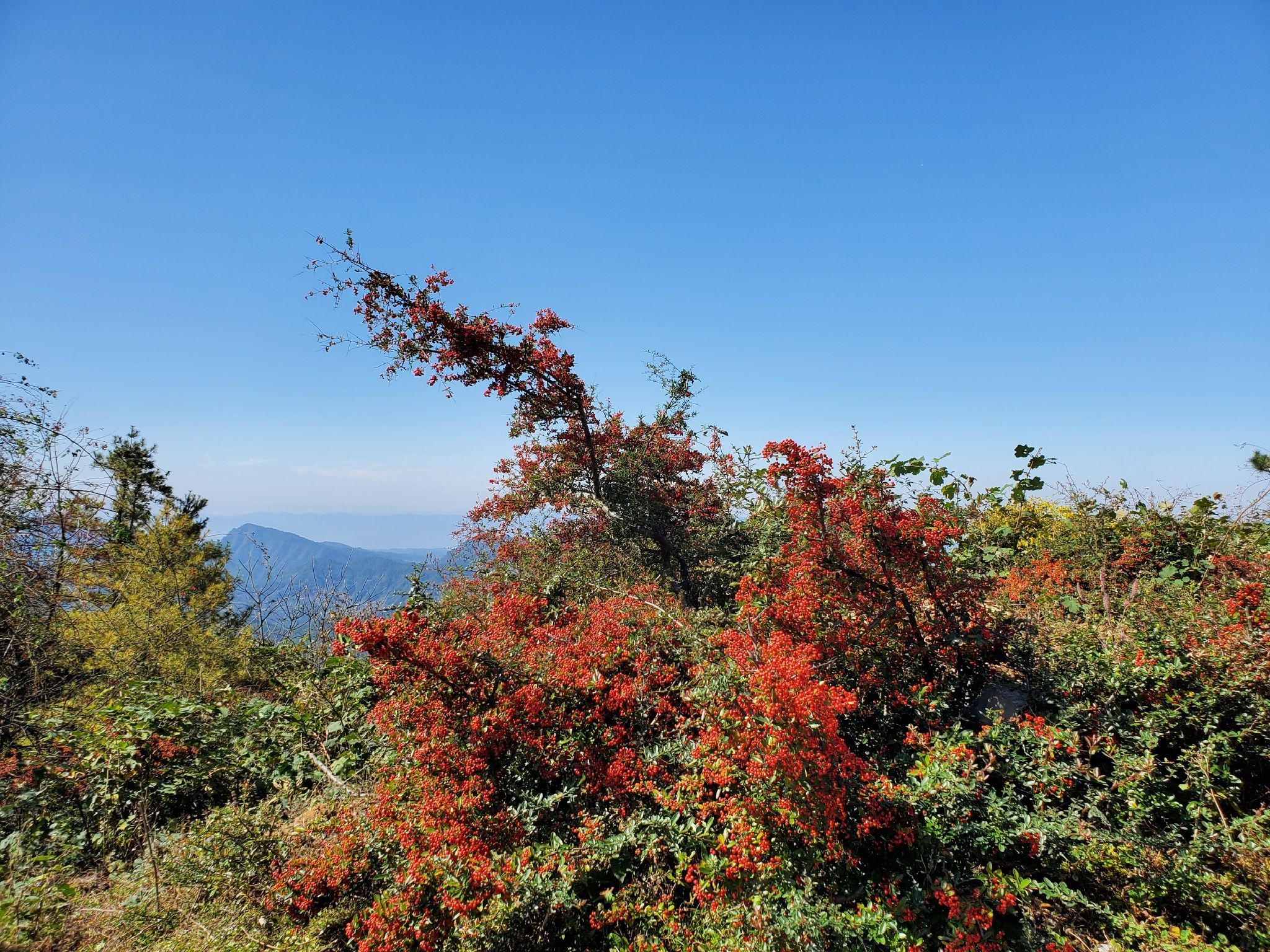 石柱县刀背梁景区旅行图片 2