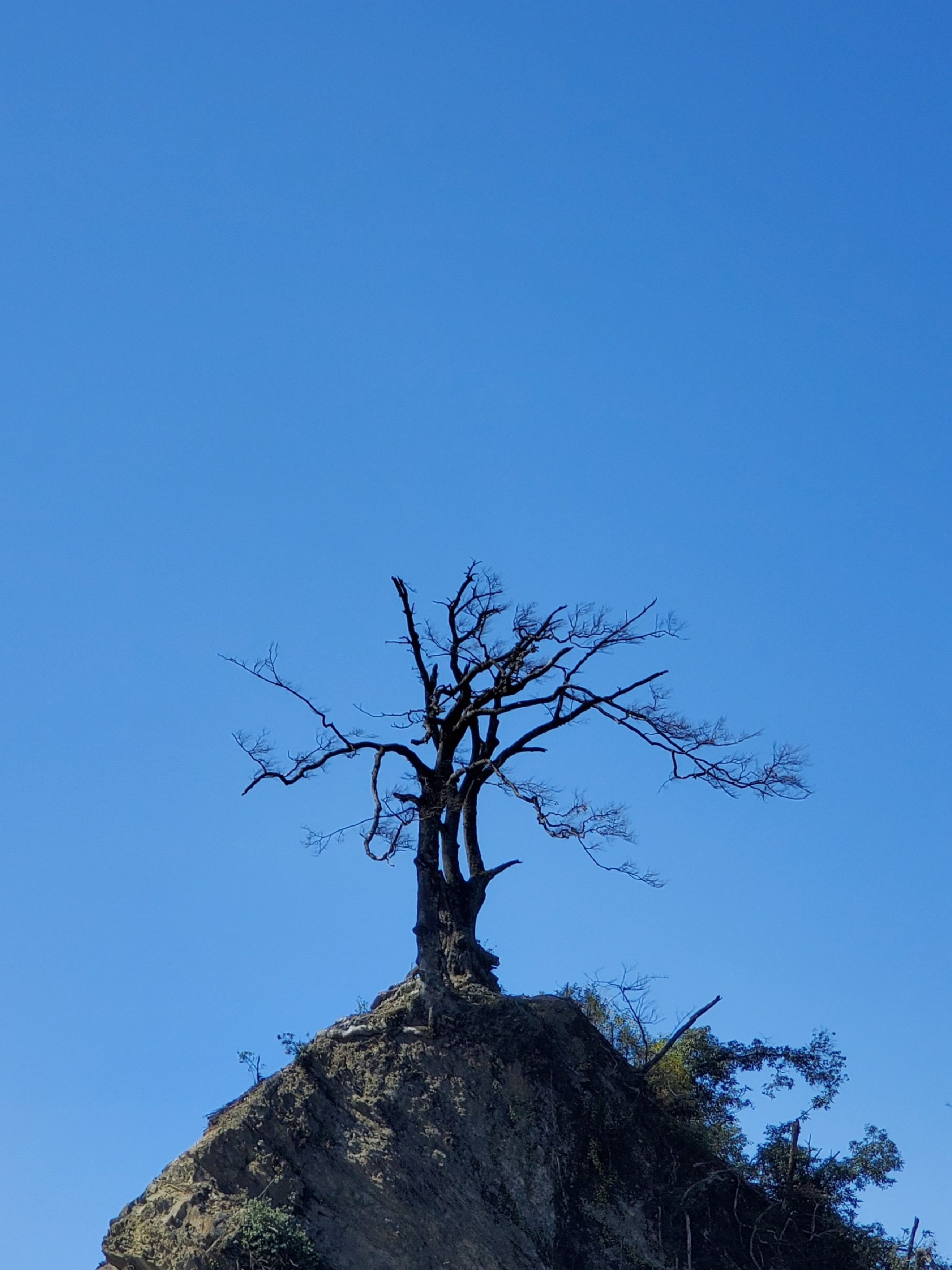 石柱县刀背梁景区旅行图片 1