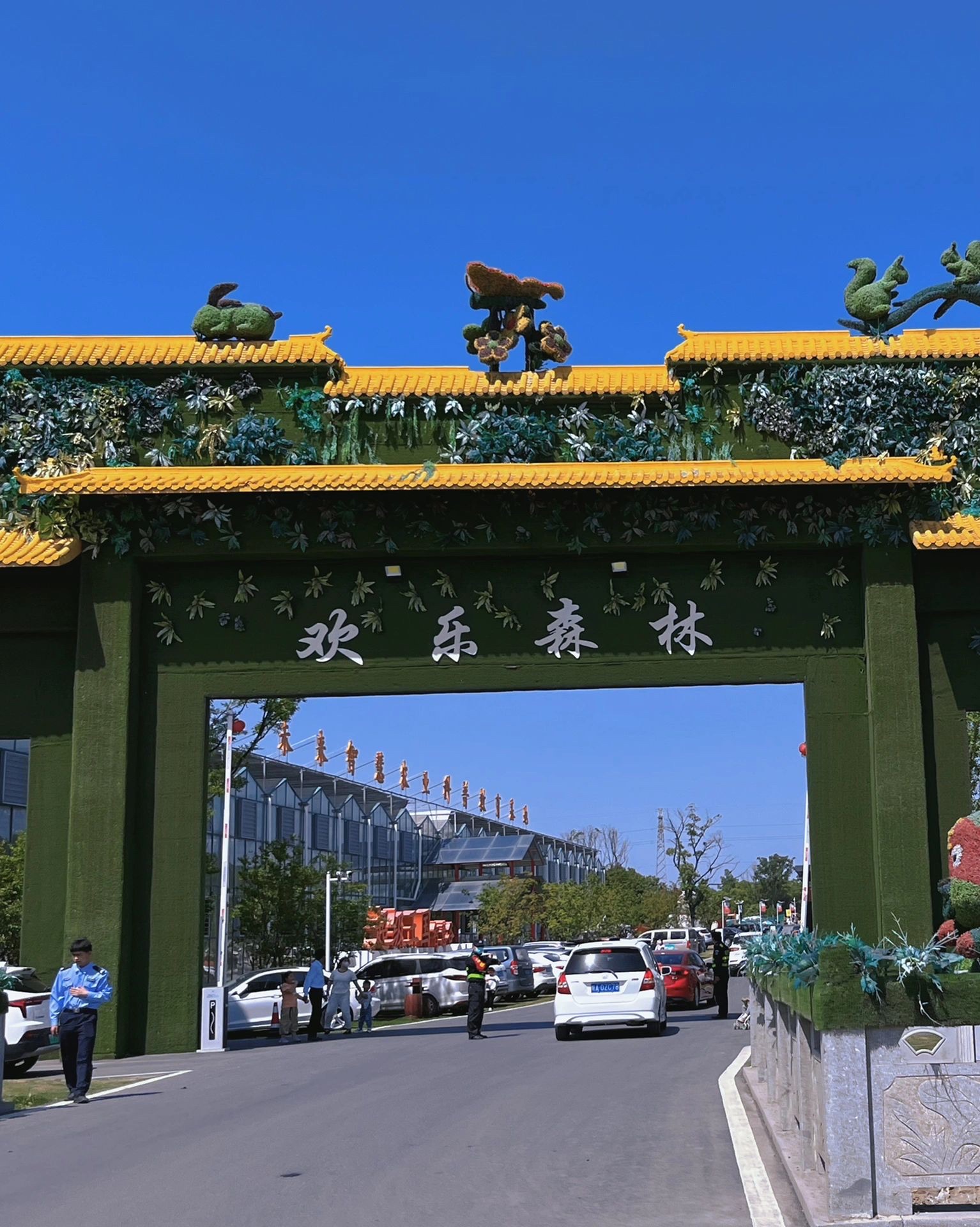 欢乐森林旅行图片 1