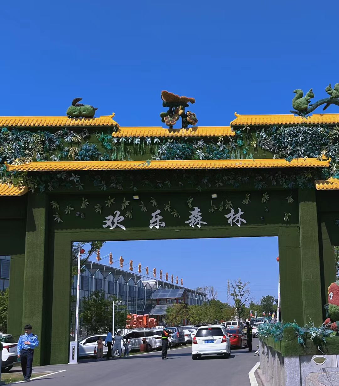 欢乐森林旅行图片 1