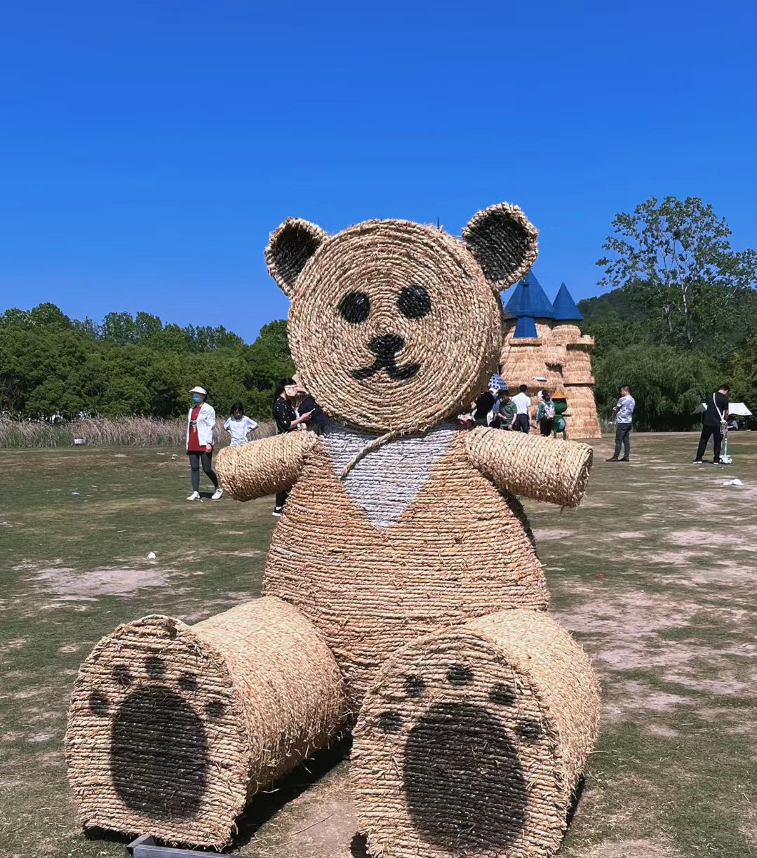 欢乐森林旅行图片 3