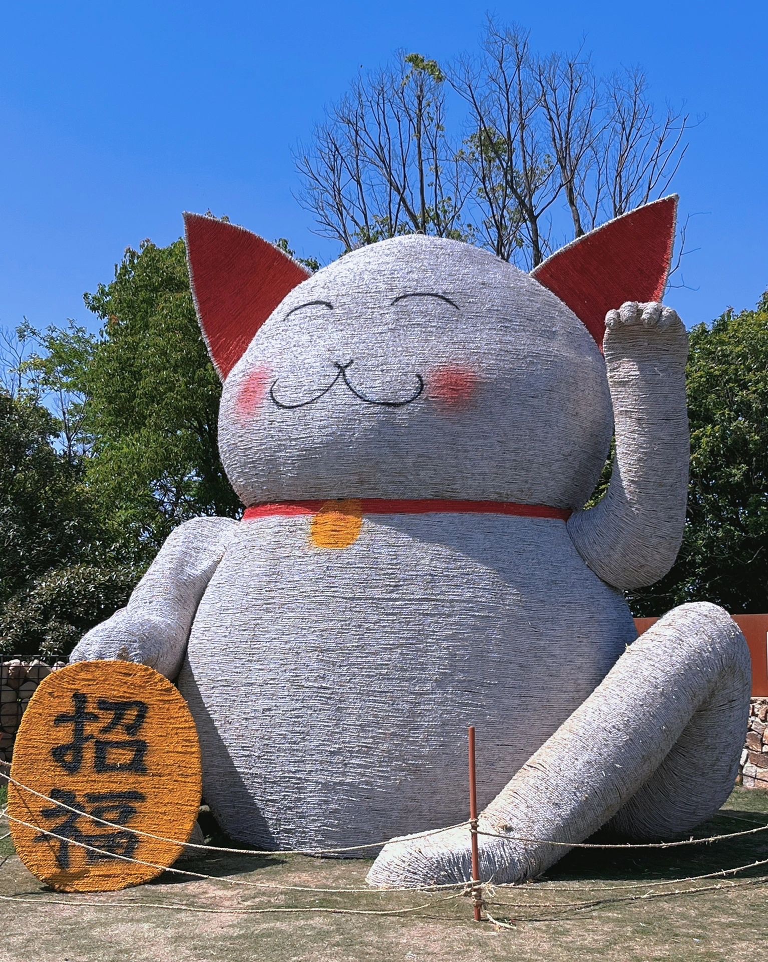 欢乐森林旅行图片 3