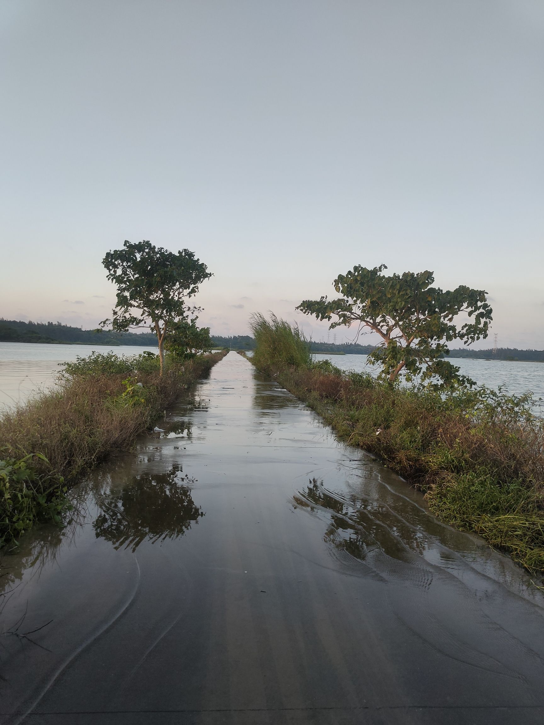 新旧沟湿地公园旅行图片 1