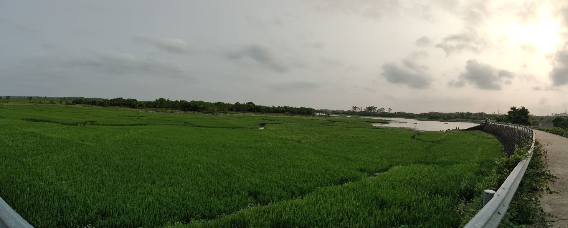 新旧沟湿地公园旅行图片 3