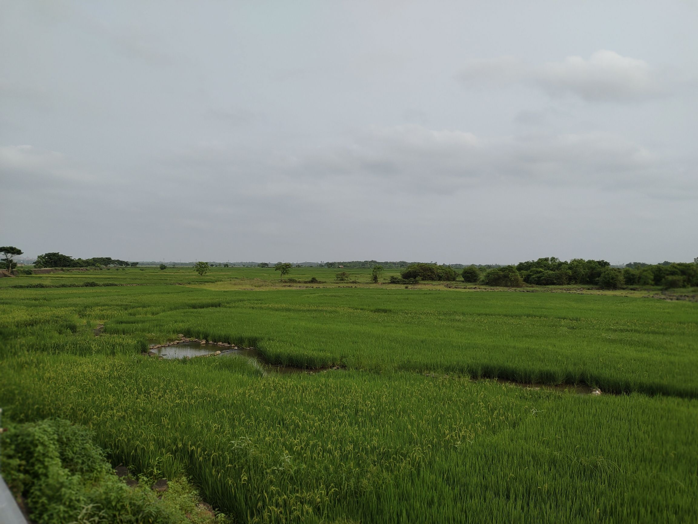 新旧沟湿地公园旅行图片 2