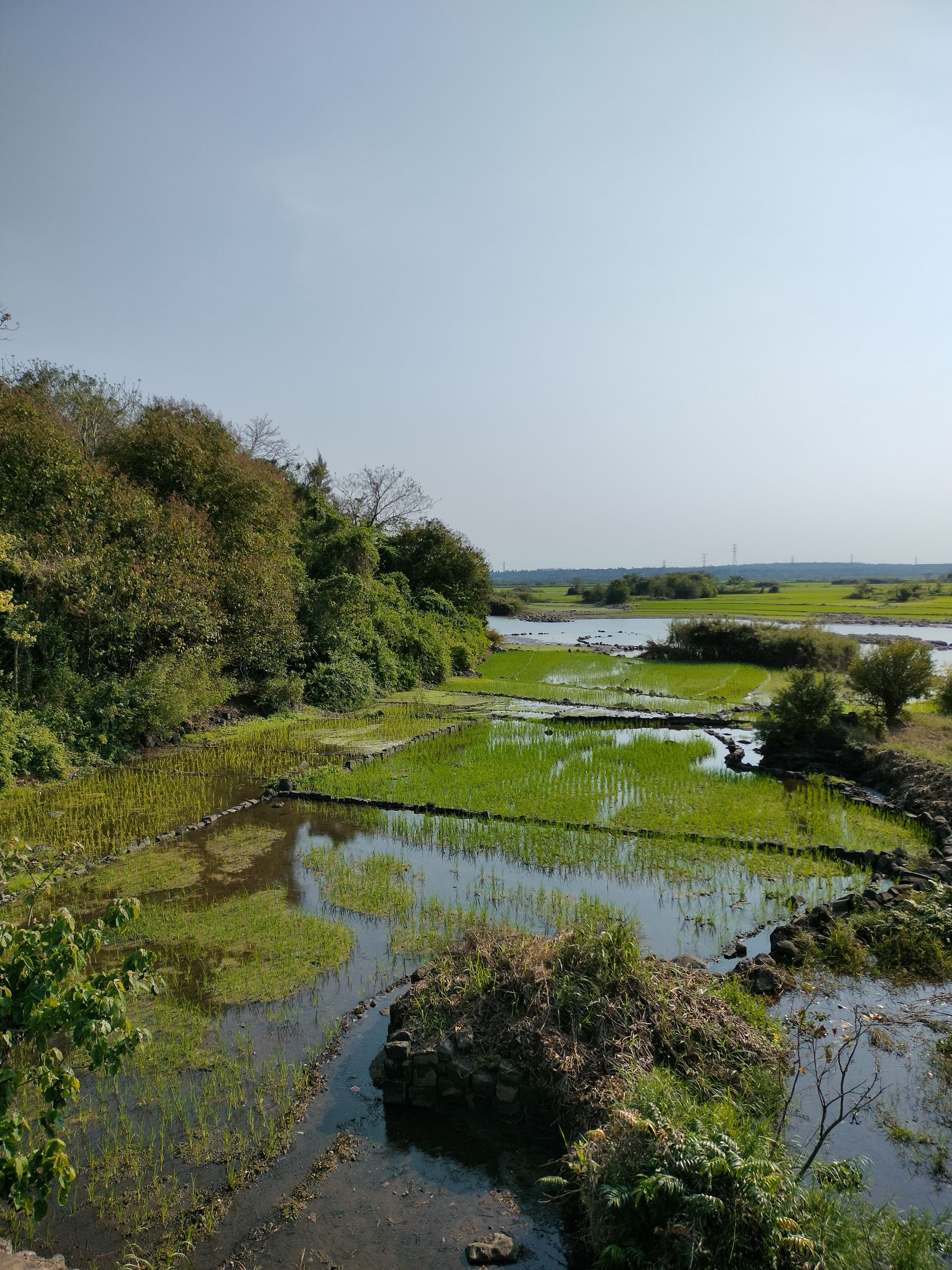 新旧沟湿地公园旅行图片 2