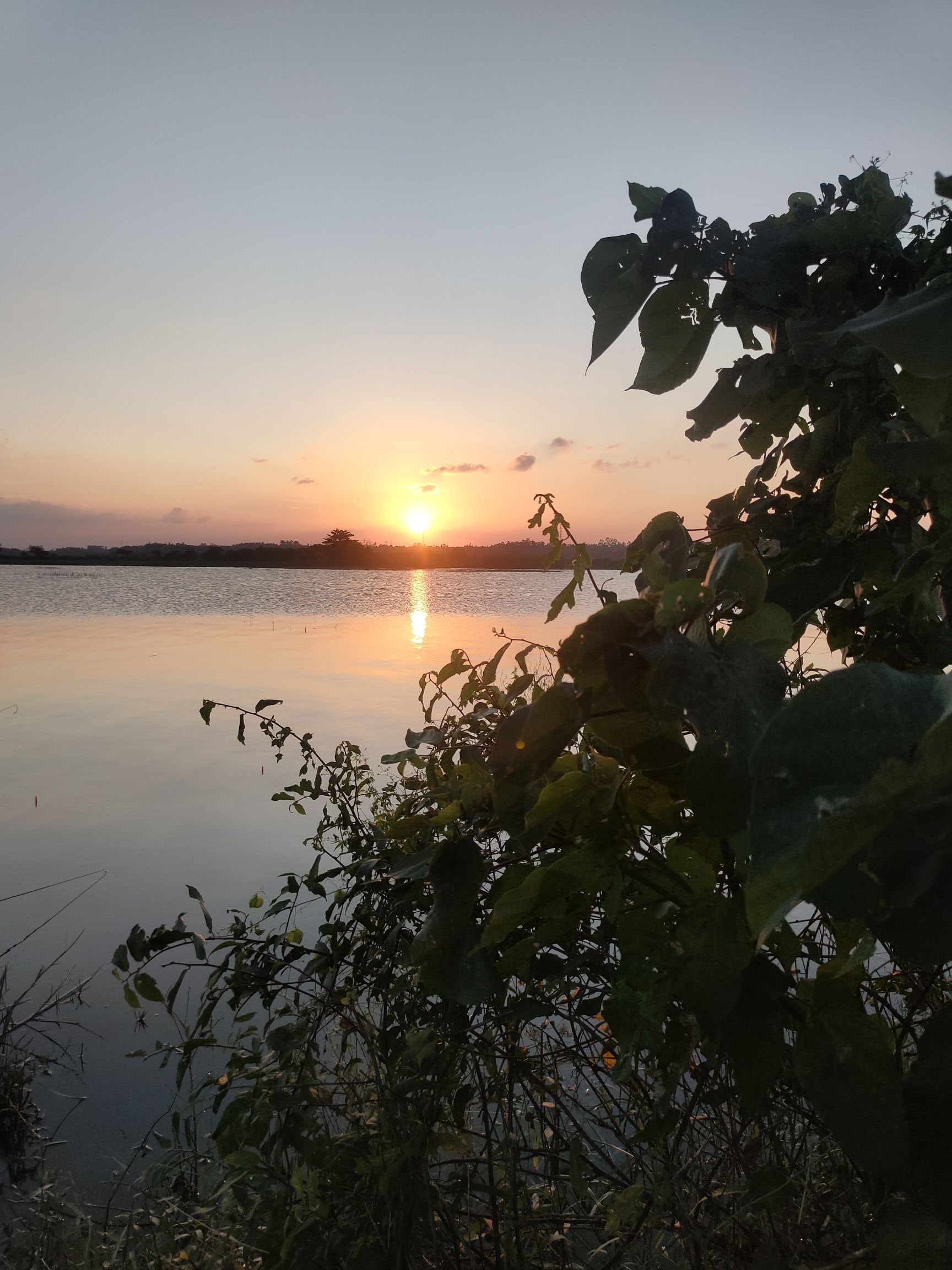 新旧沟湿地公园旅行图片 2