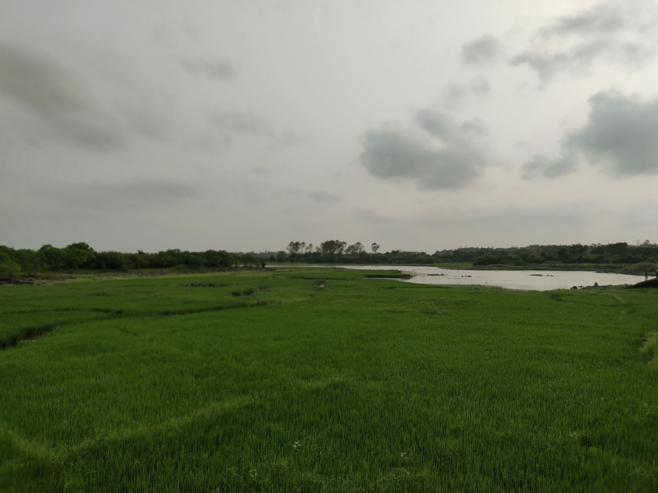 新旧沟湿地公园旅行图片 1