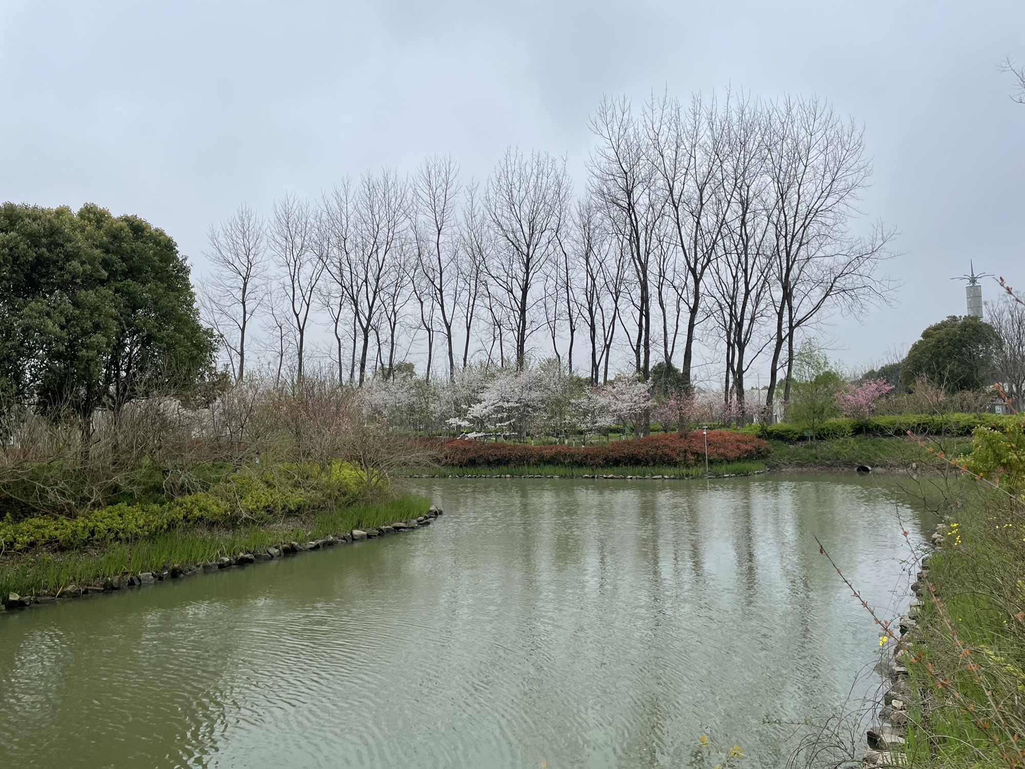 秀南公园旅行图片 3