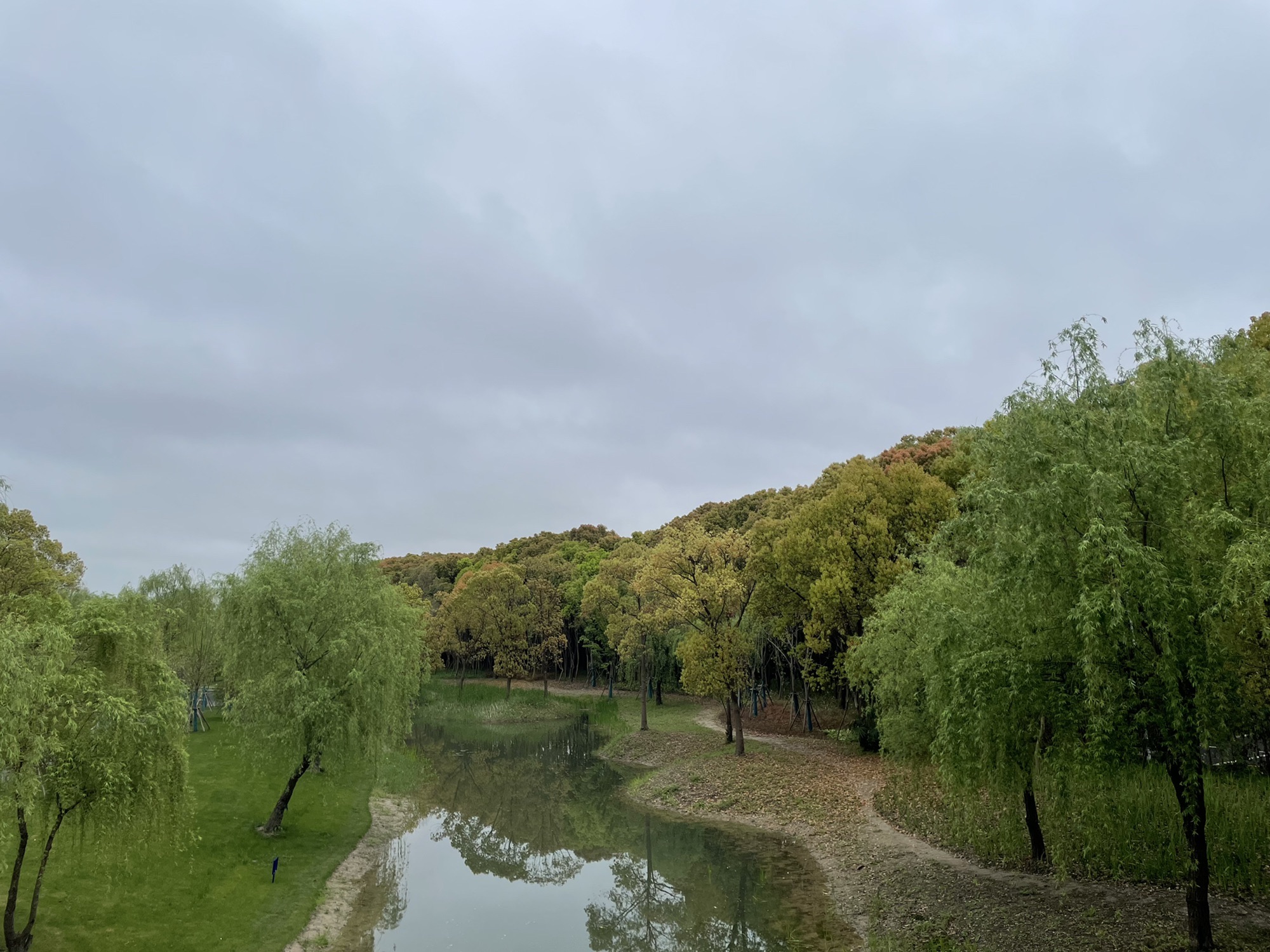 秀南公园旅行图片 1