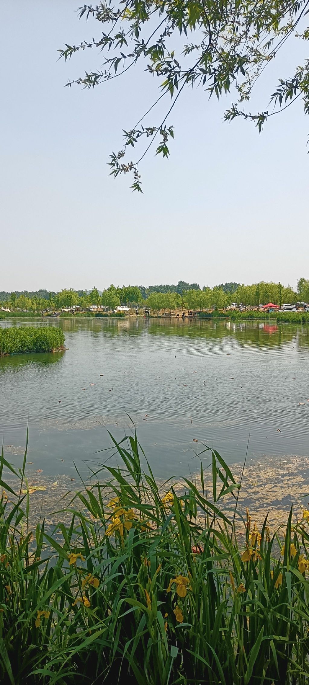 白楼湾湿地公园旅行图片 2