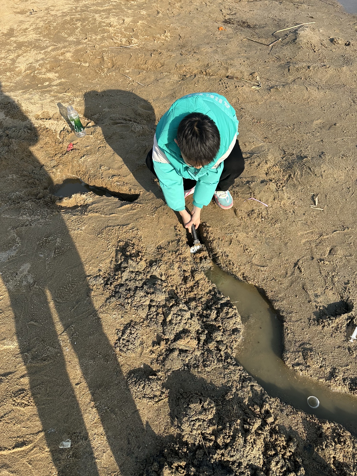 白楼湾湿地公园旅行图片 1