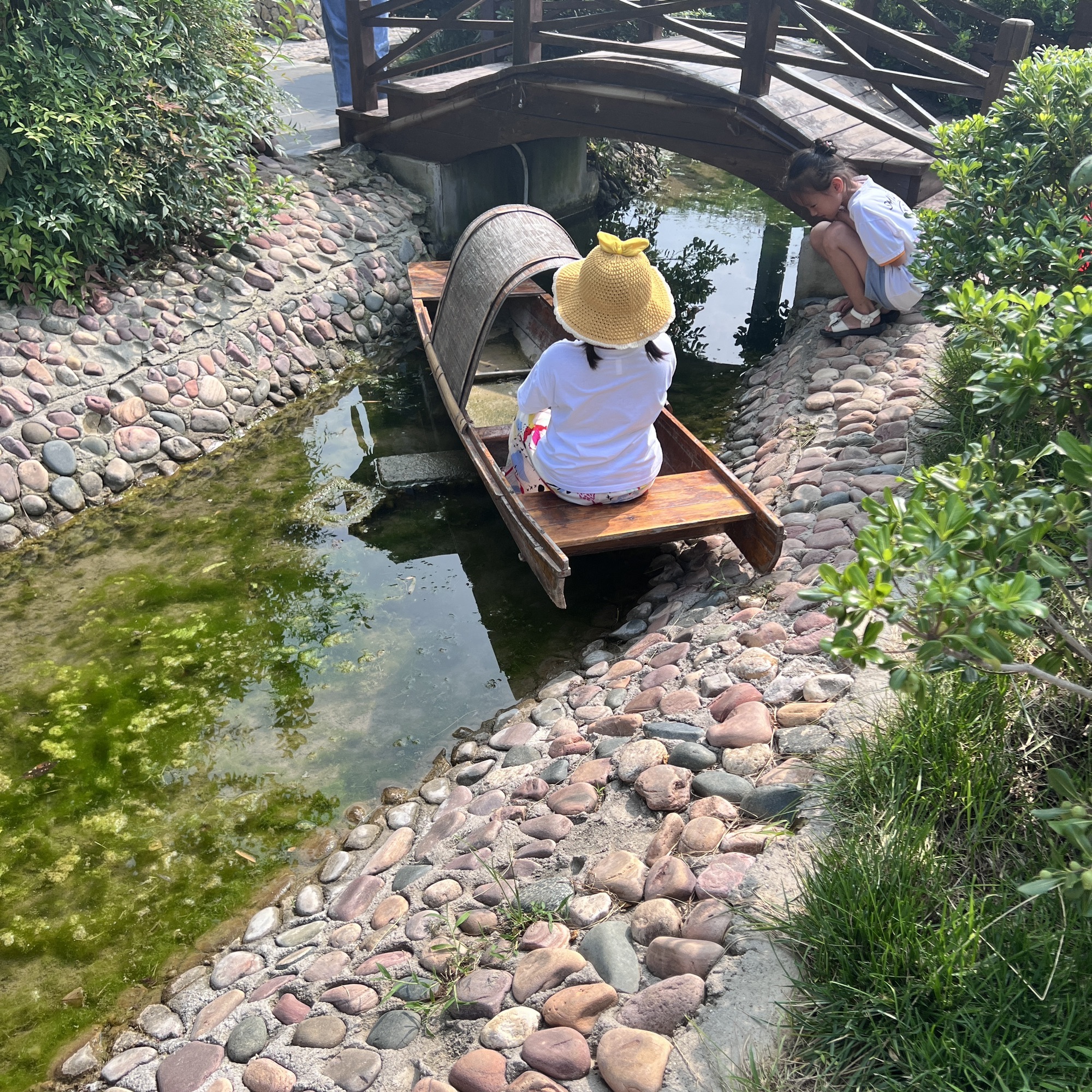 白楼湾湿地公园旅行图片 3