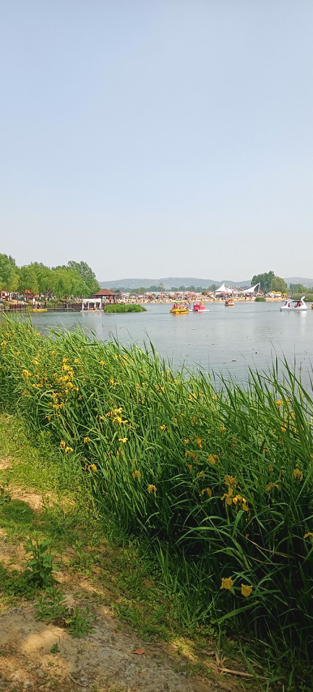 白楼湾湿地公园旅行图片 1