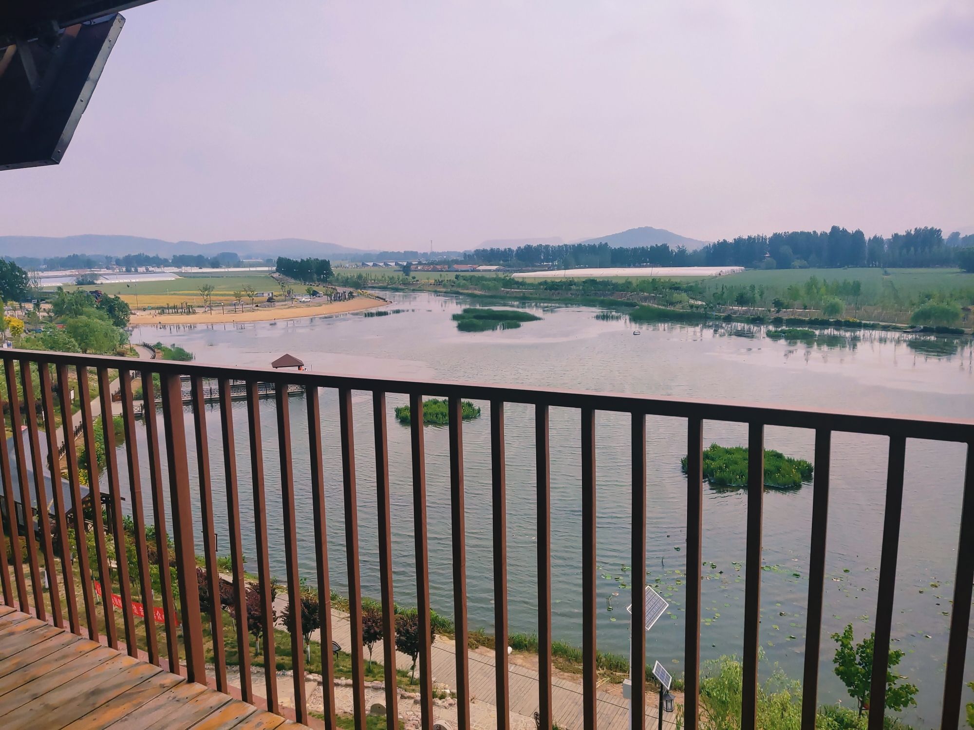 白楼湾湿地公园旅行图片 2