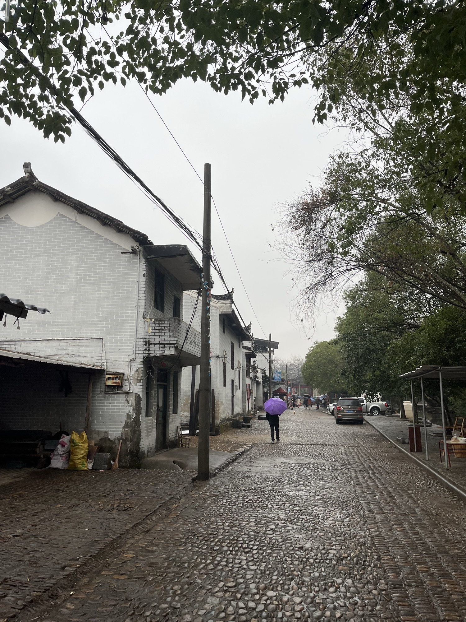 秀水状元村旅行图片 2