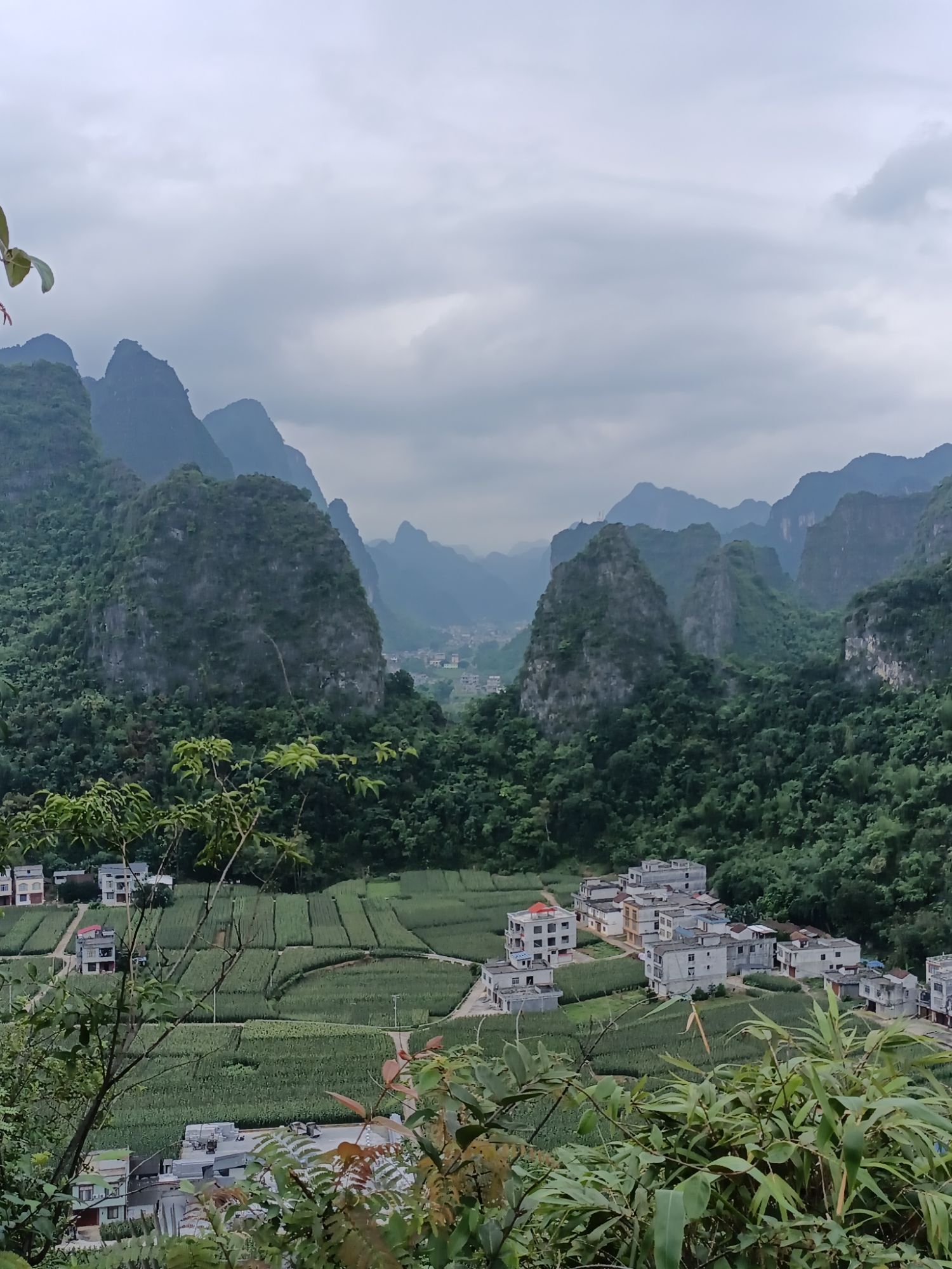 桃花水母天窗群景区旅行图片 3