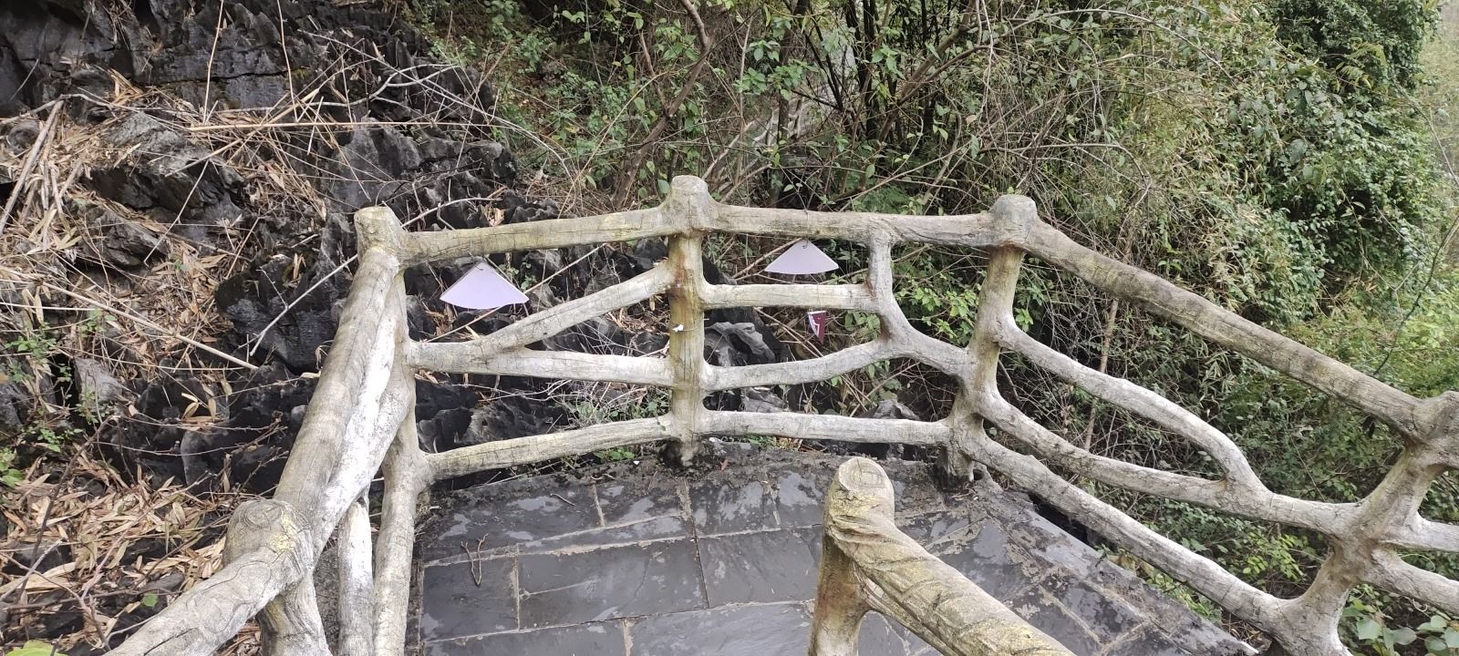 桃花水母天窗群景区旅行图片 2