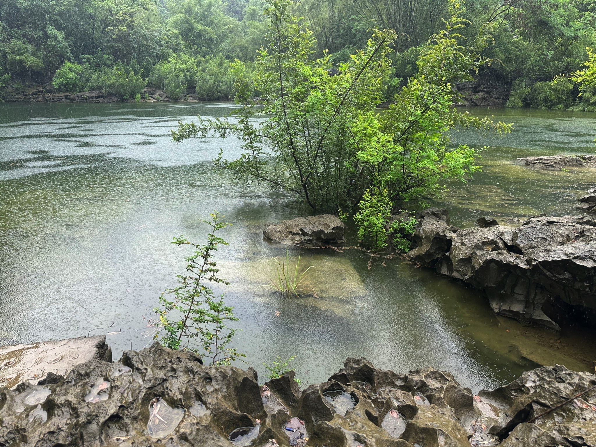 桃花水母天窗群景区旅行图片 1