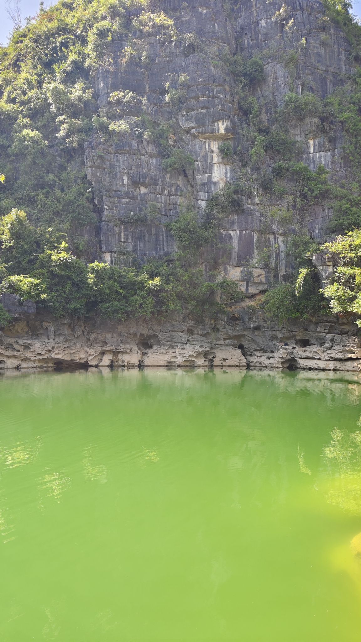 桃花水母天窗群景区旅行图片 2