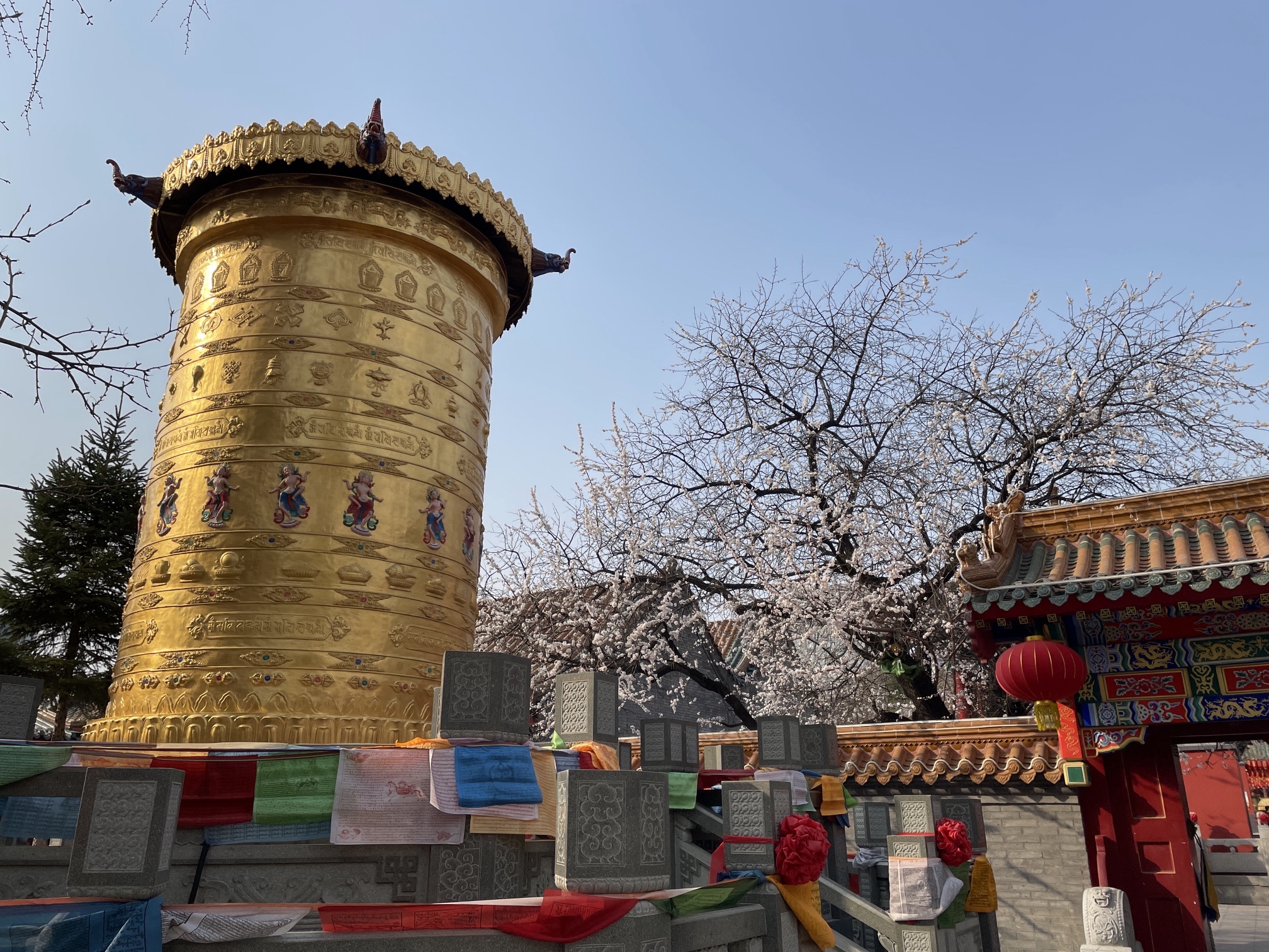 老北市旅行图片 3