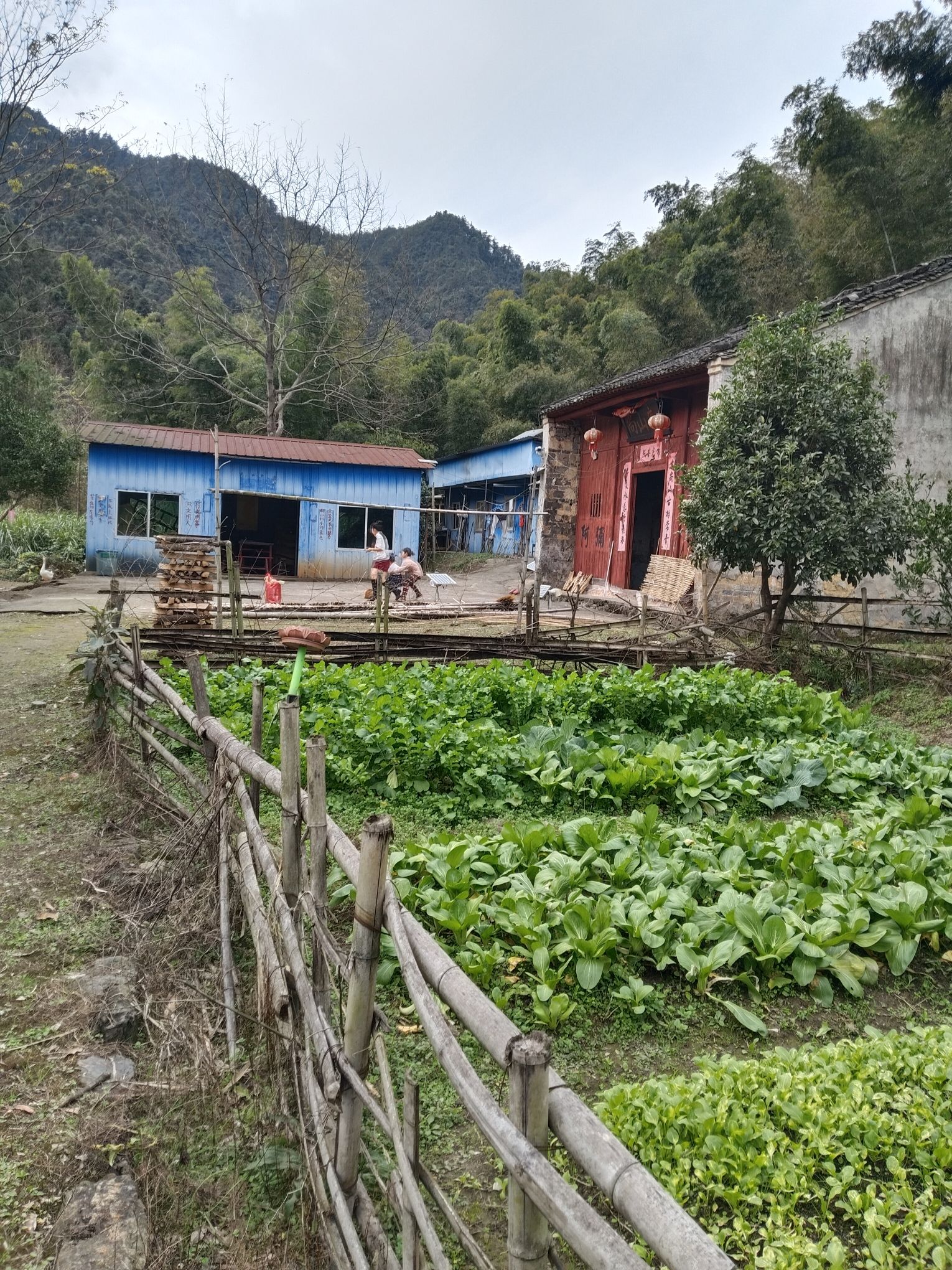 尚山庵旅行图片 2
