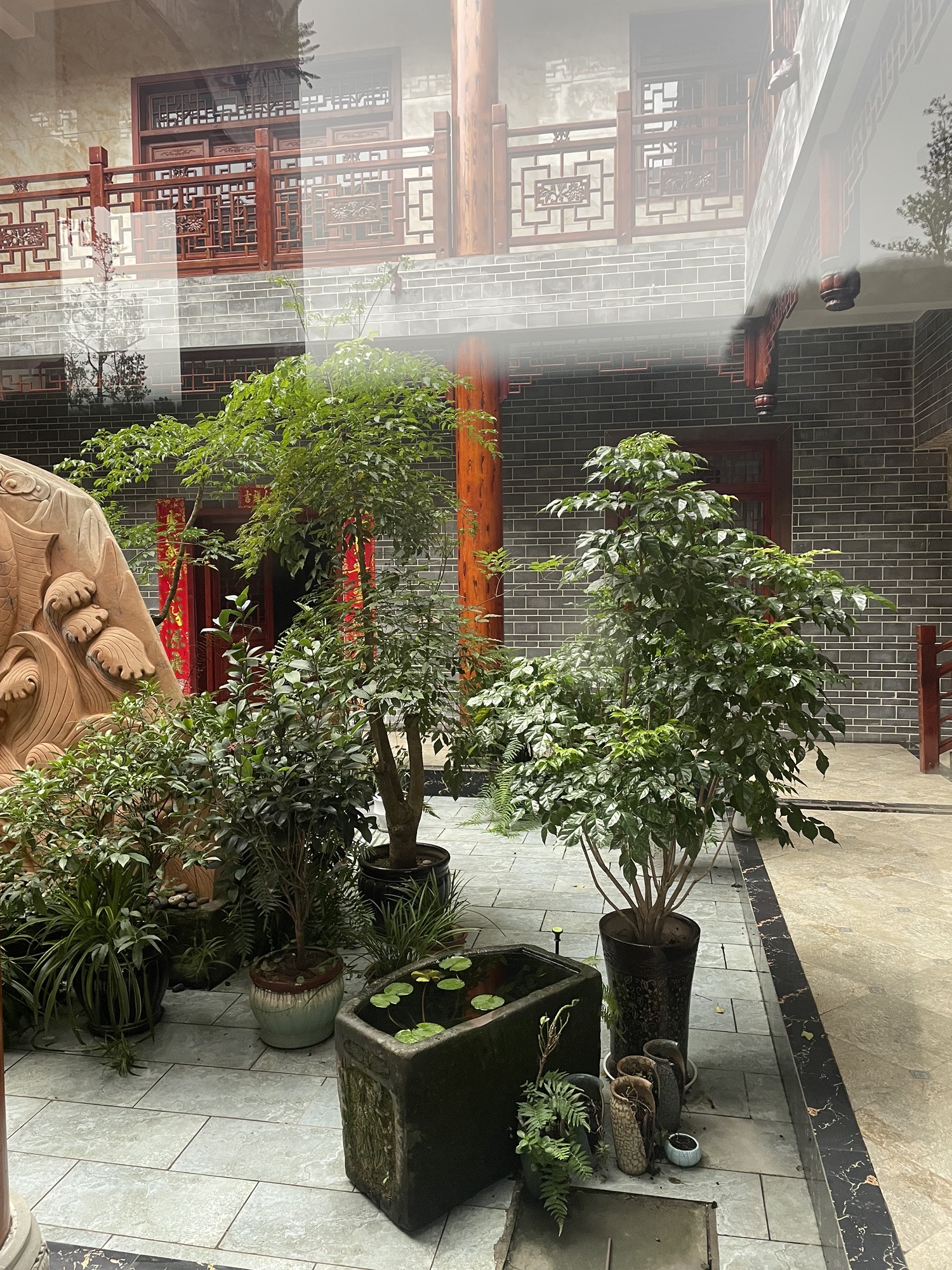 曼瑜天雅湿地公园旅行图片 1
