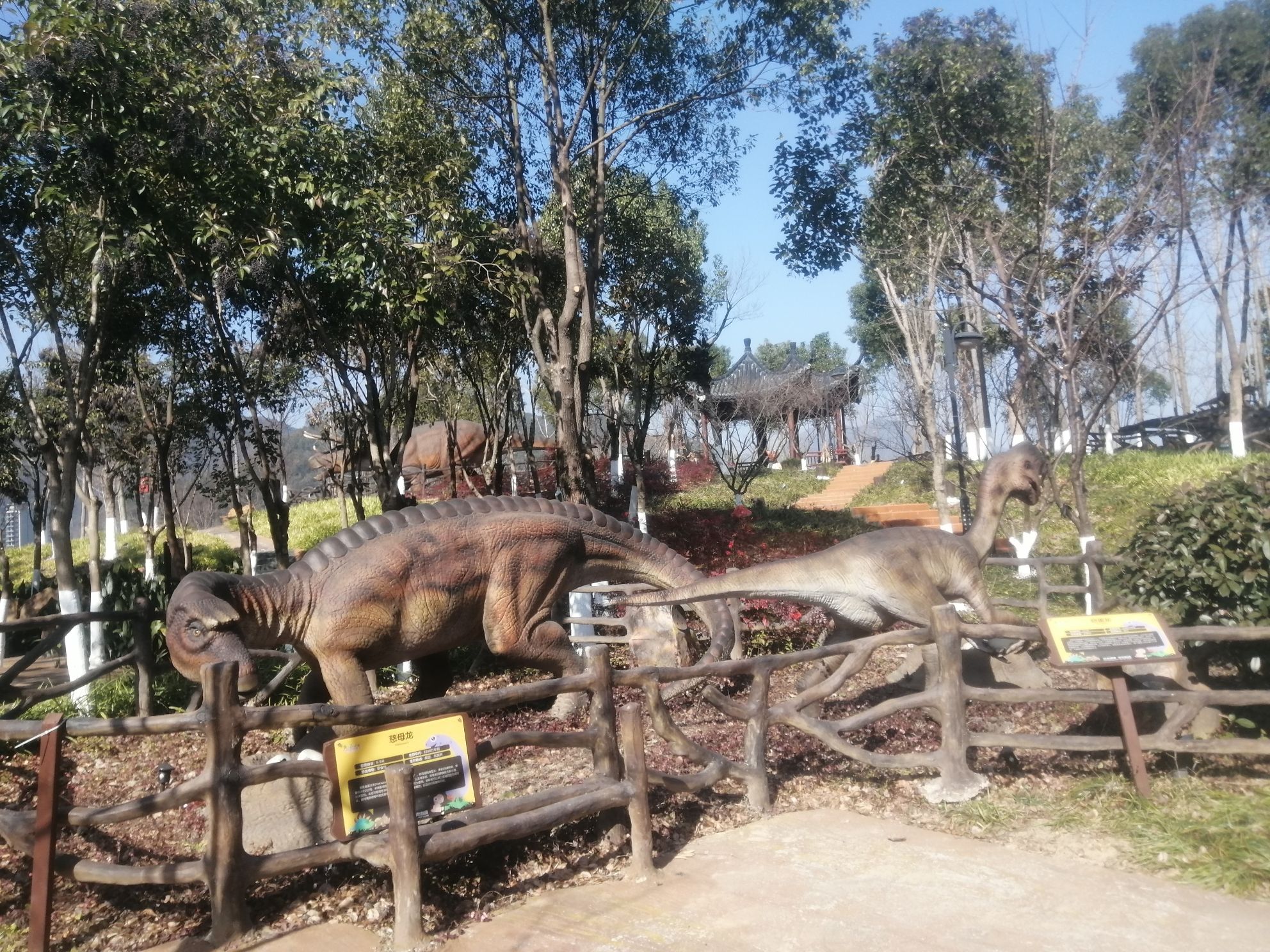 上金谷文化旅游风景区旅行图片 2