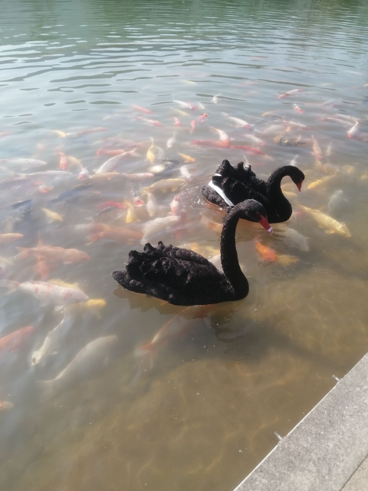 上金谷文化旅游风景区旅行图片 3