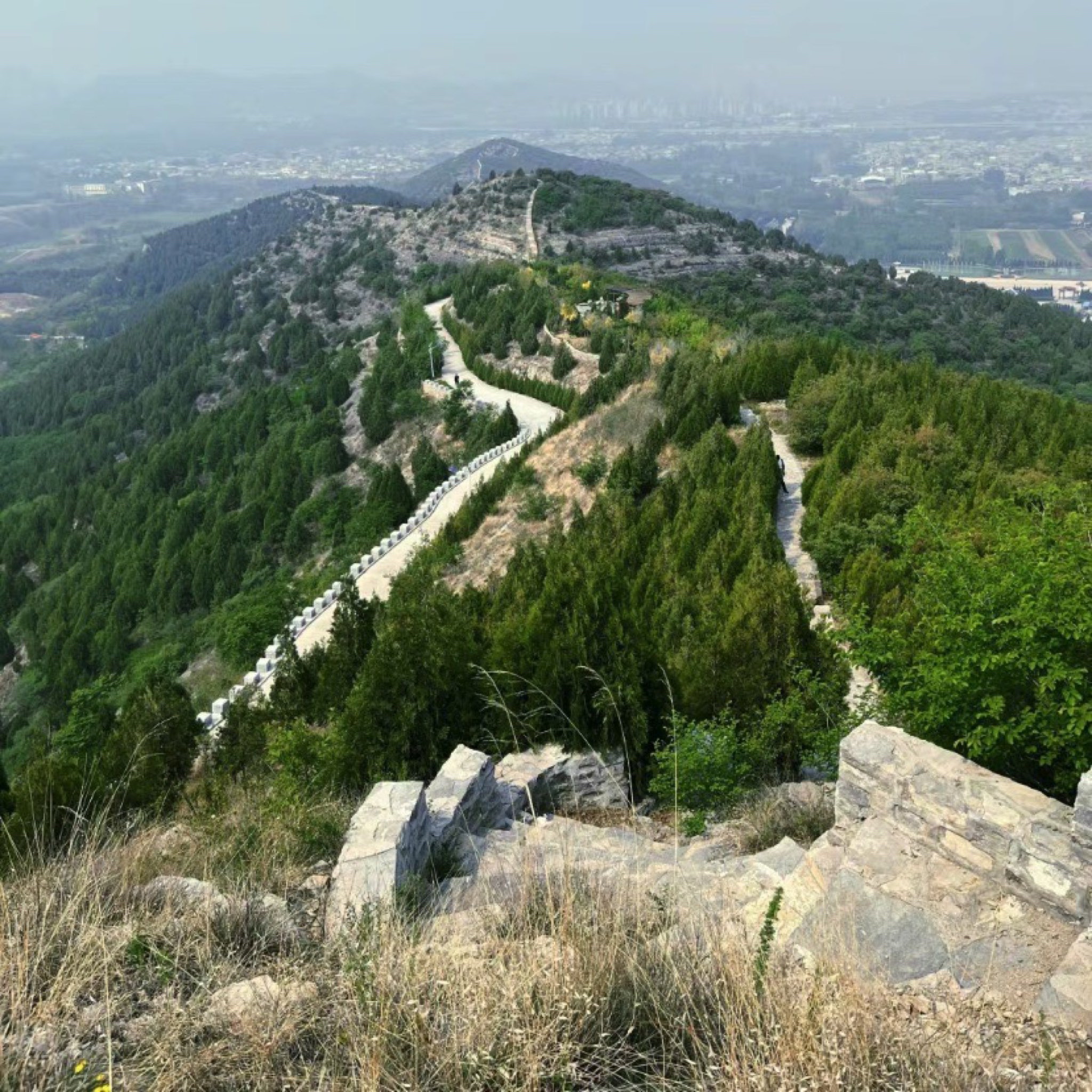 双山顶山体公园旅行图片 3