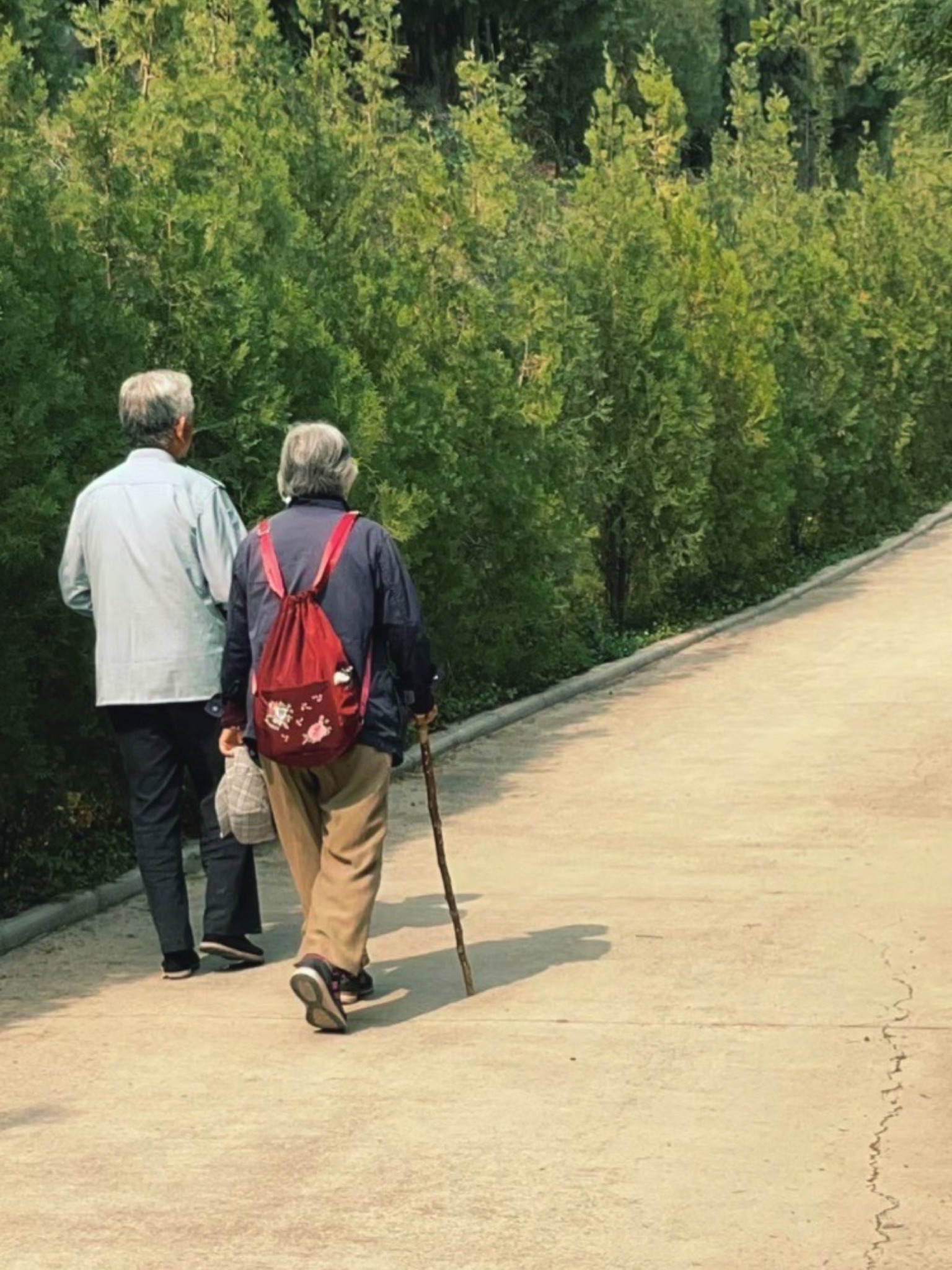 双山顶山体公园旅行图片 2