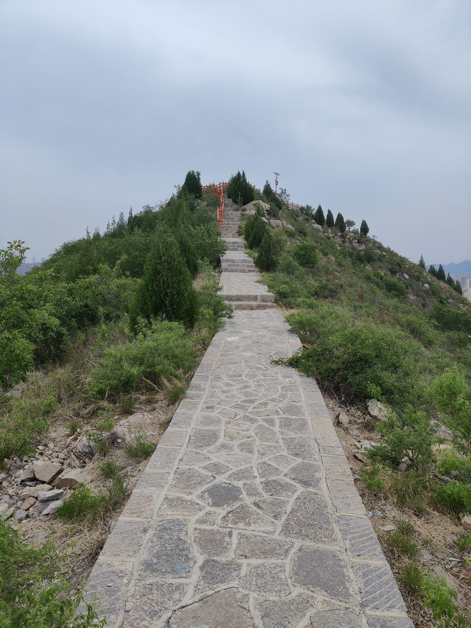 双山顶山体公园旅行图片 3