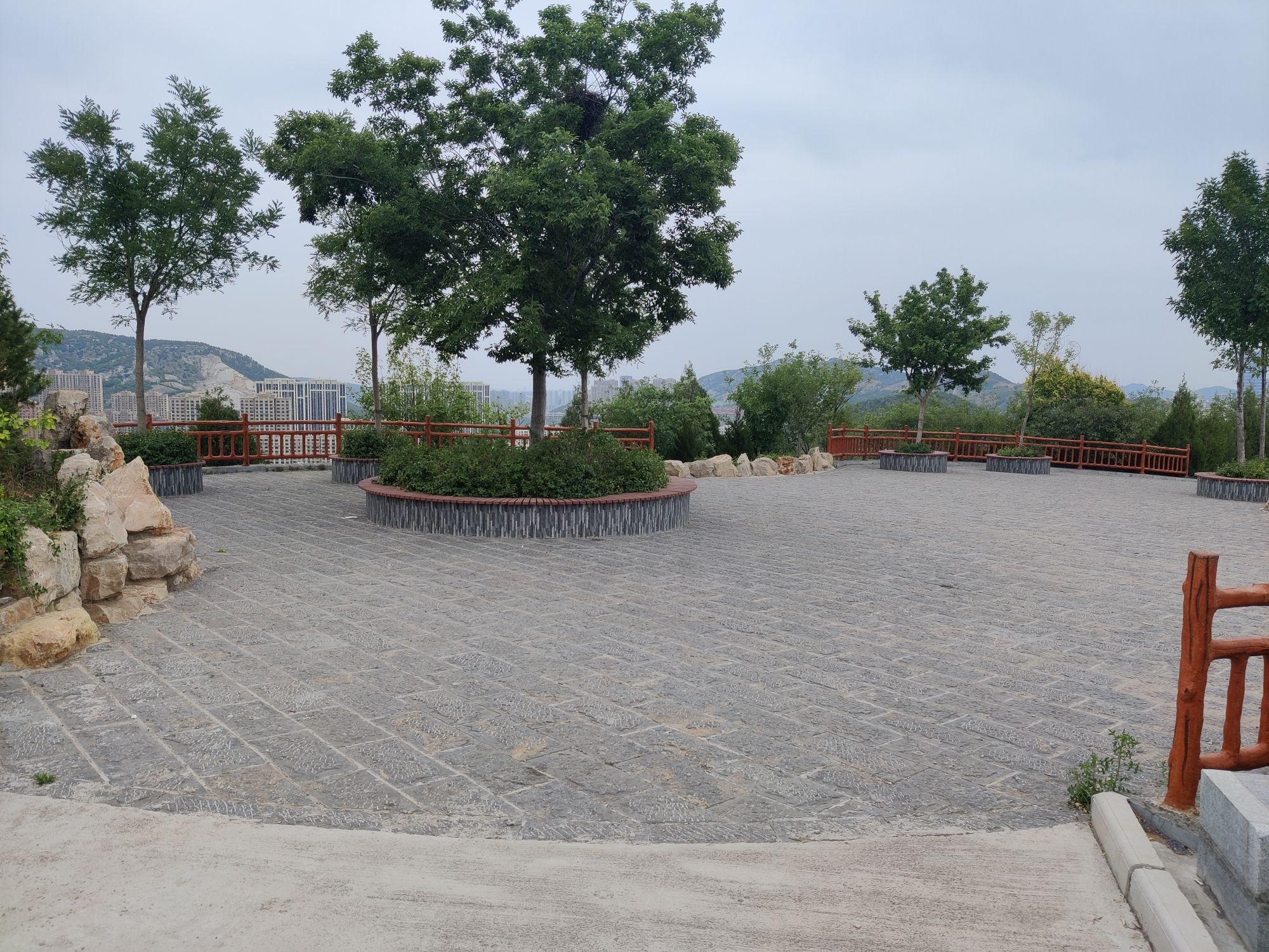 双山顶山体公园旅行图片 1