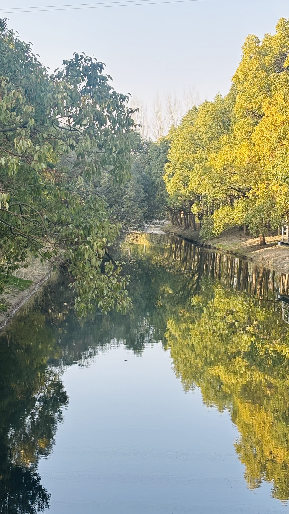 汤巷公园旅行图片 1