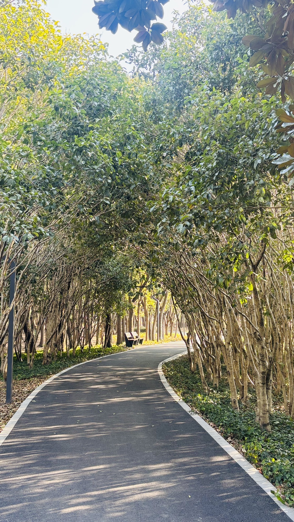 汤巷公园旅行图片 2