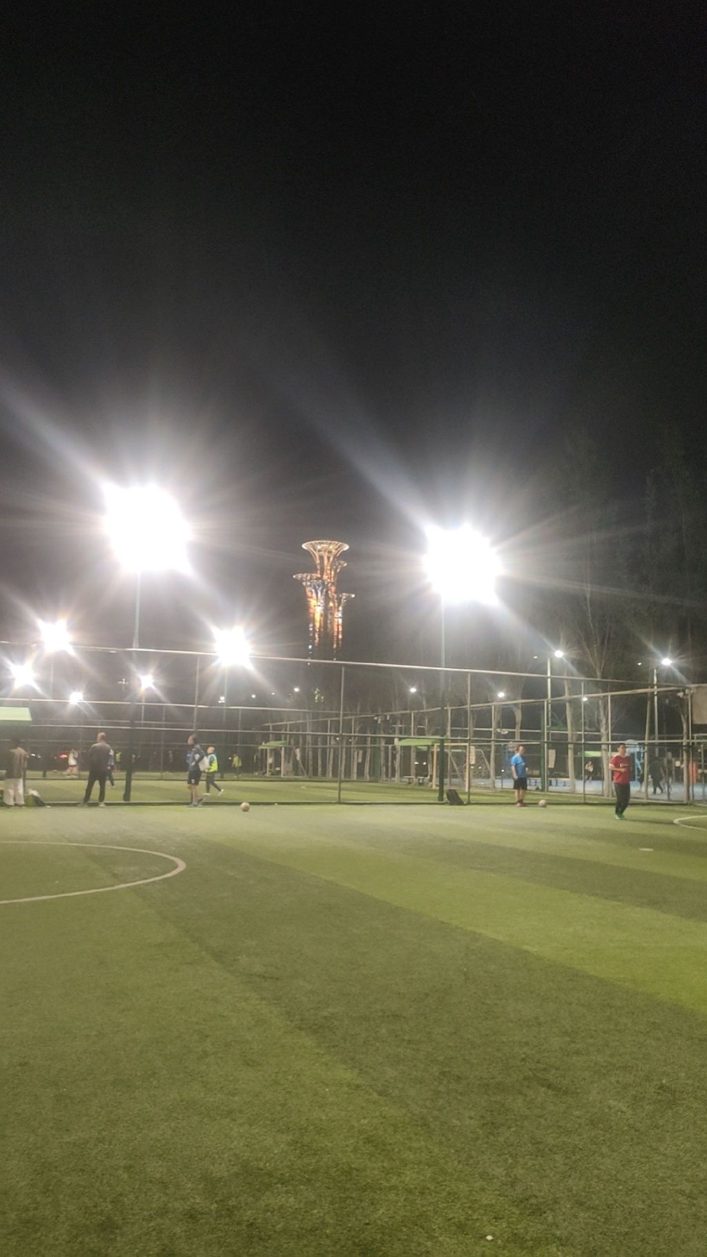 场地封面-奥林匹克森林公园南园体育园足球场-5号足球场